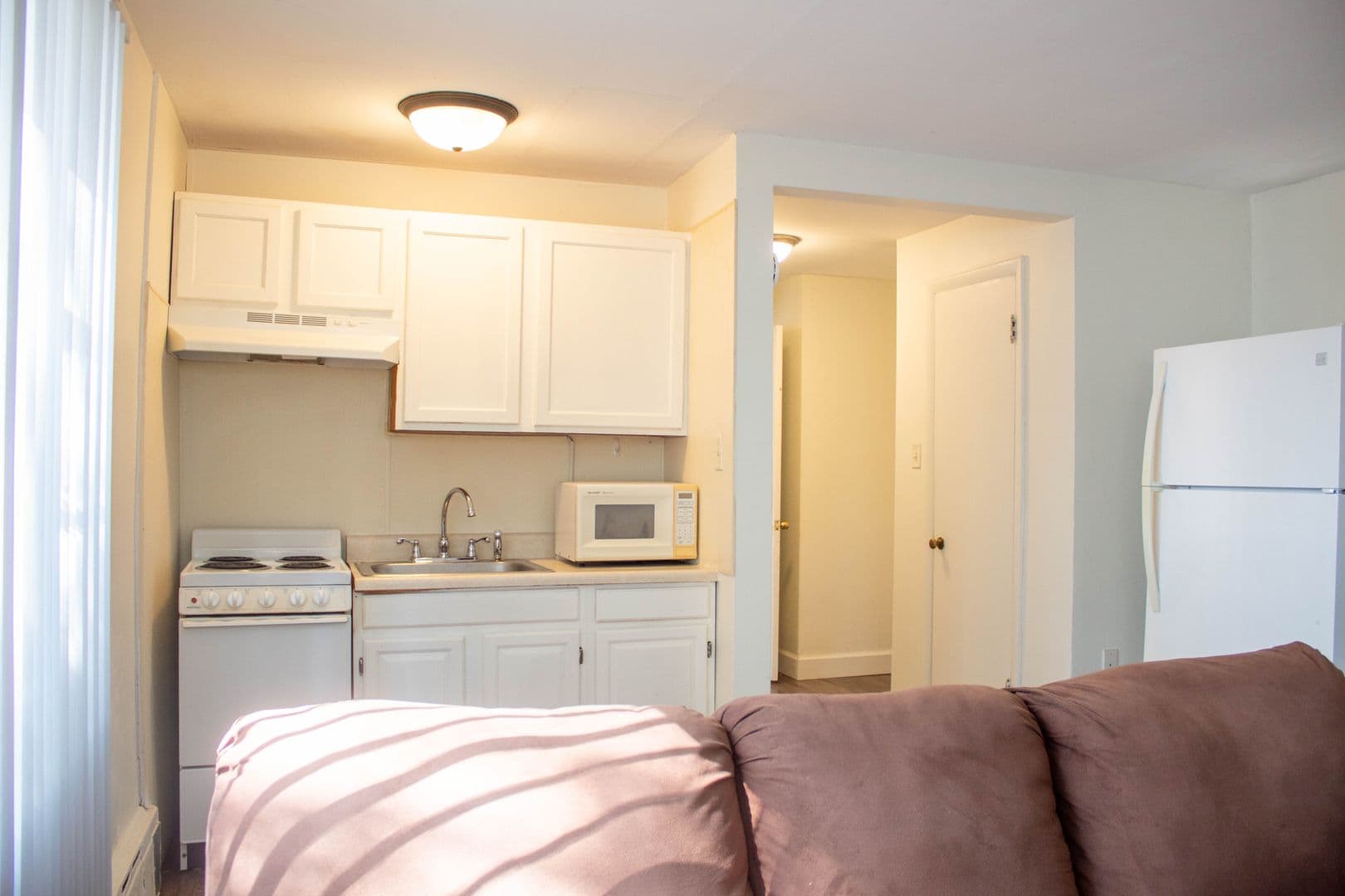 Champaign Apartment: 203 S Wright Street