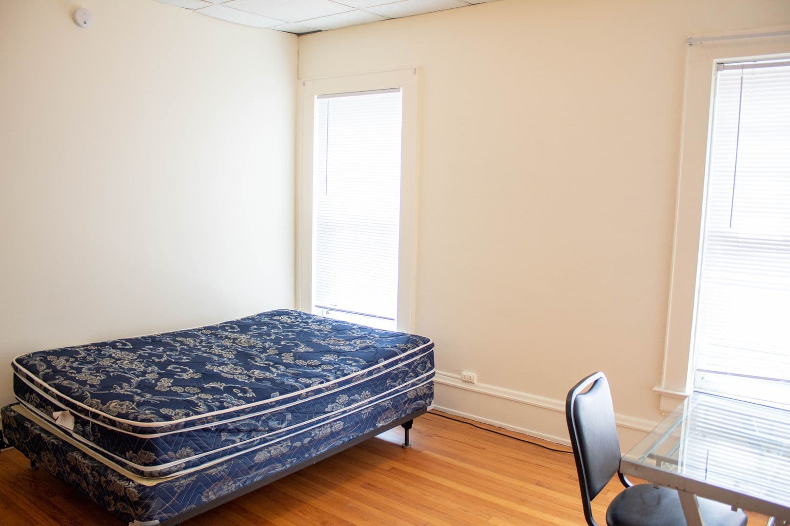 Champaign Apartment: 111 E Springfield Avenue