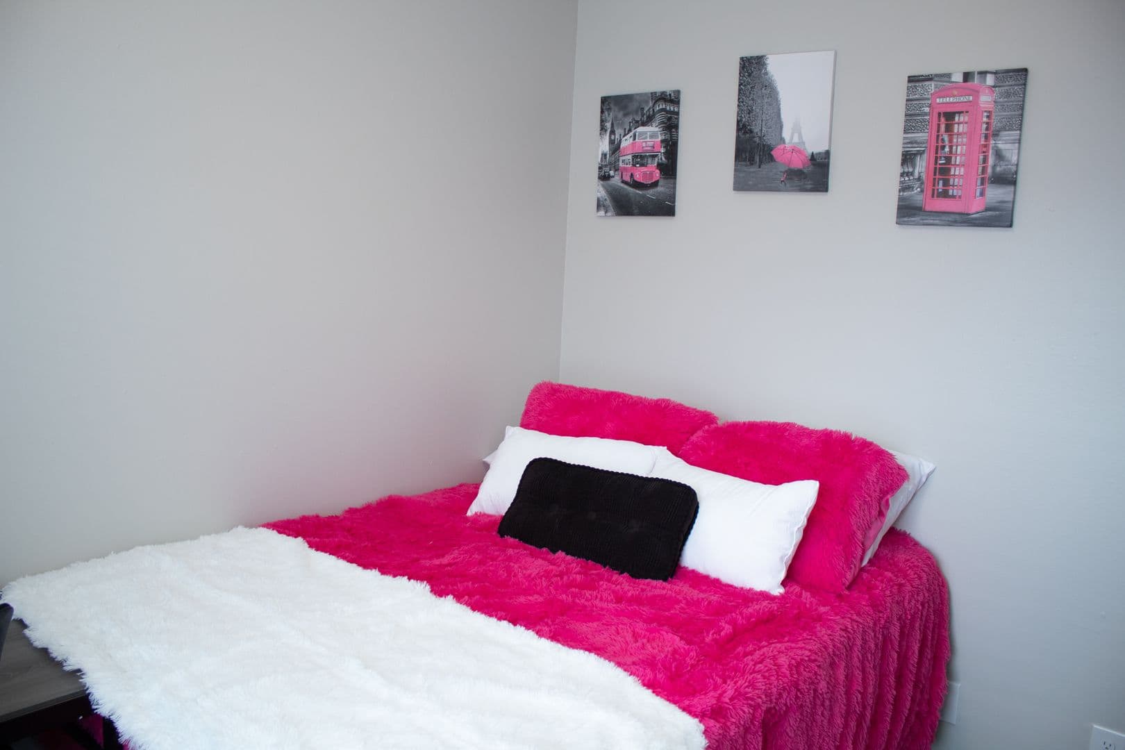 Champaign Apartment: 903 S Locust Street