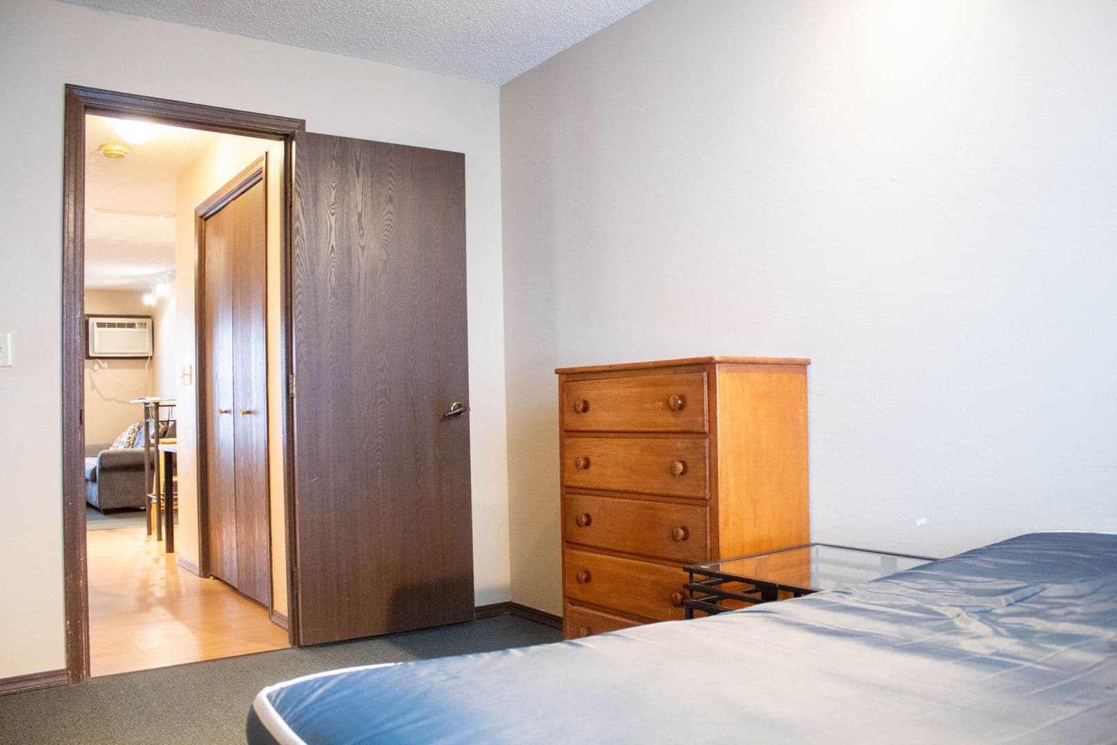 Champaign Apartment: 507 E White