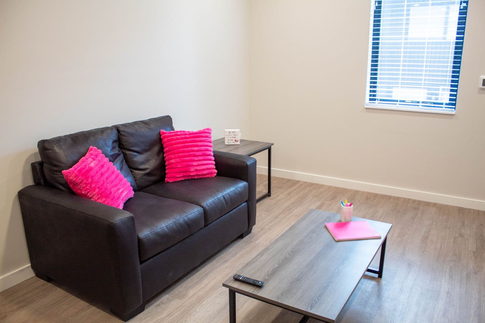 Urbana Apartment: 1009 W Stoughton