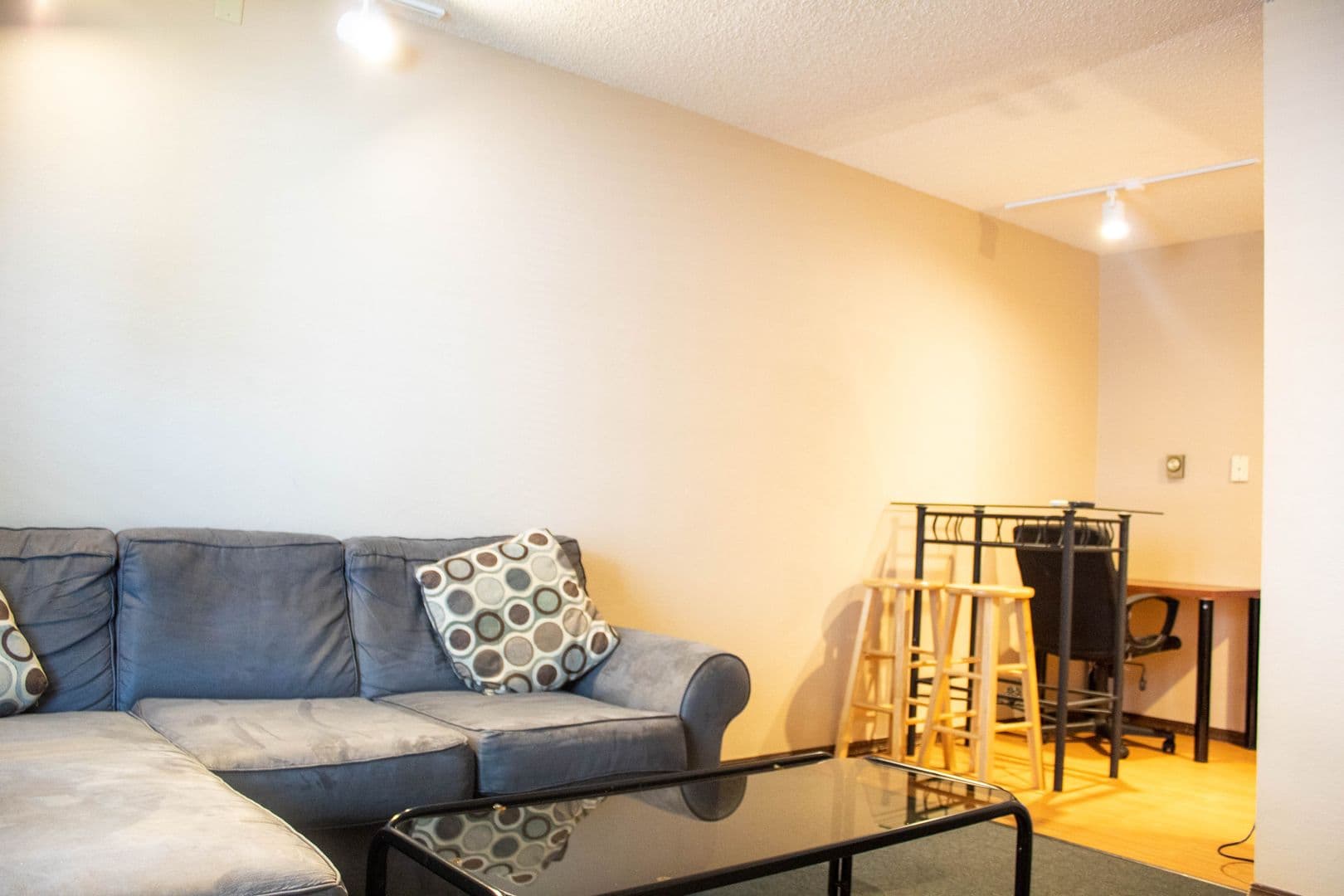 Champaign Apartment: 507 E White