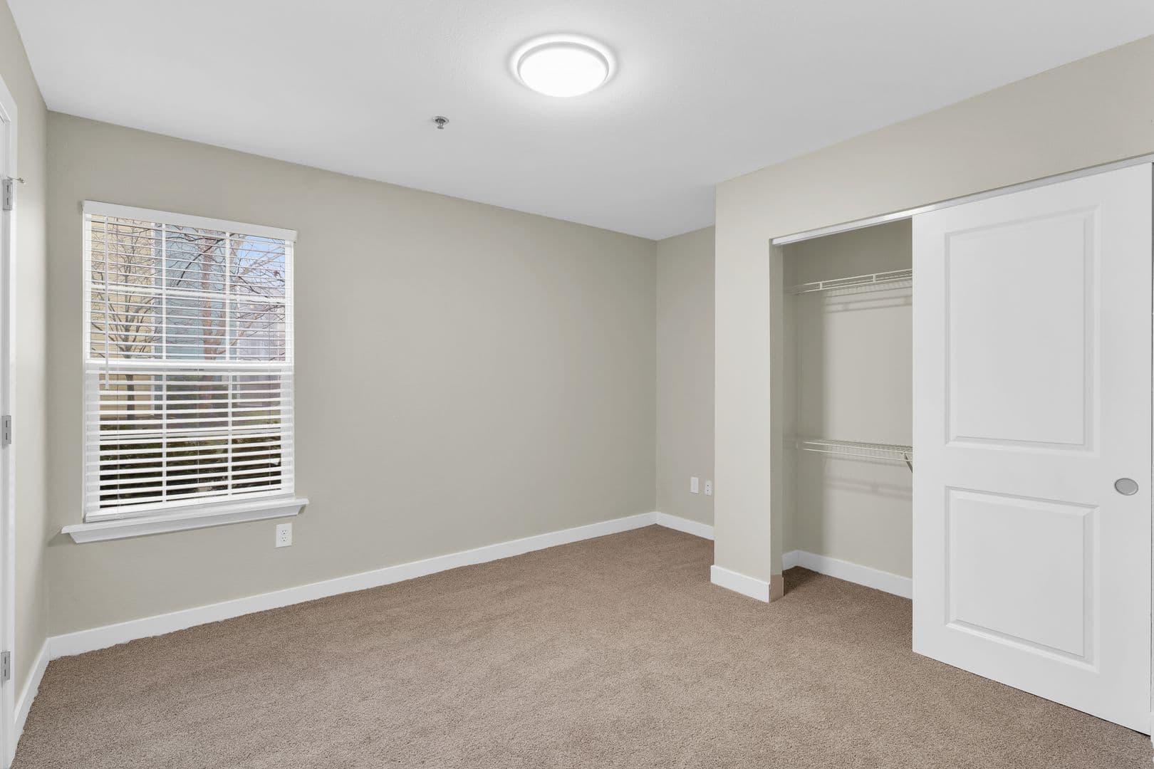 Savoy Apartment: 117 Sterling Ct
