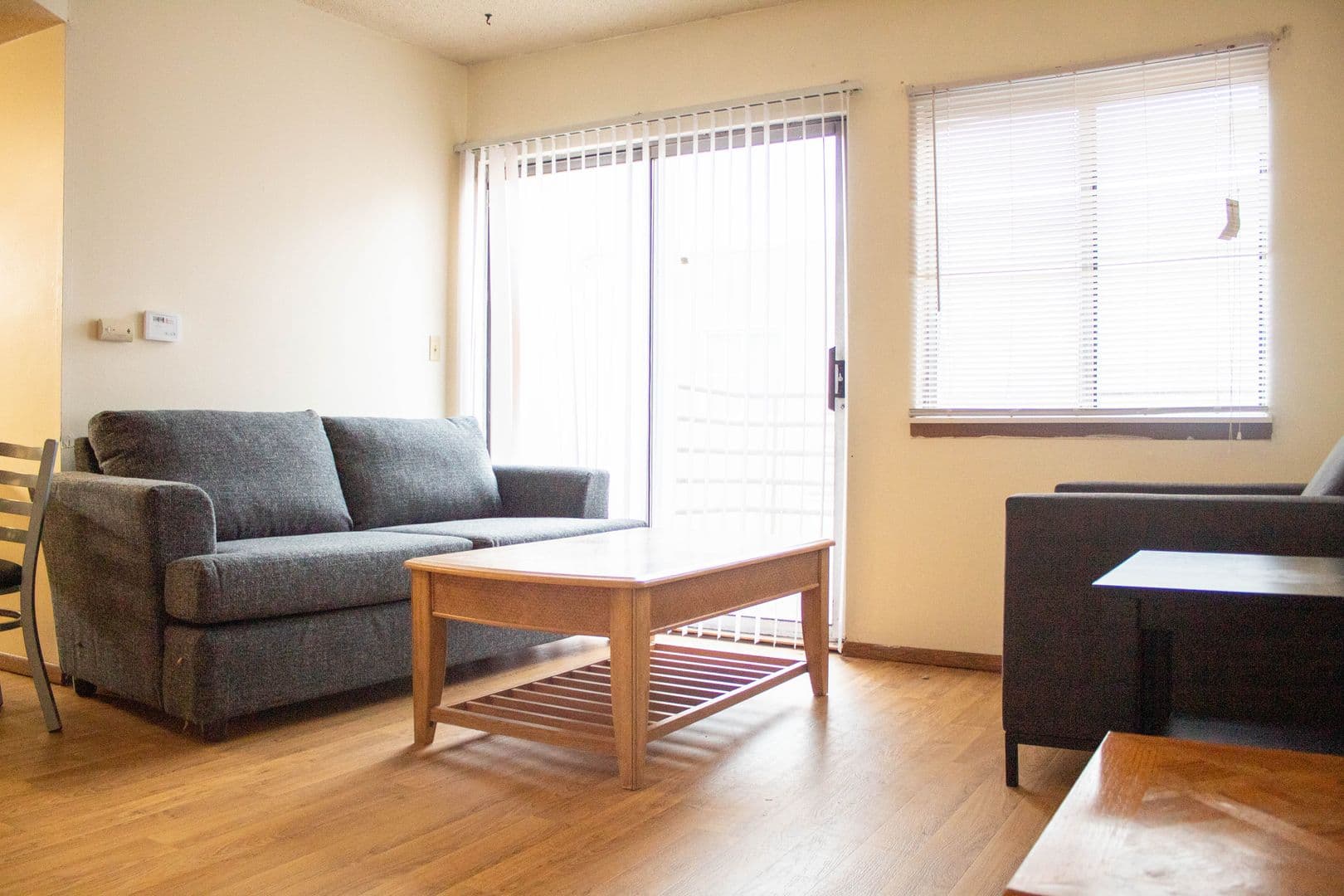 Urbana Apartment: 907 W Oregon