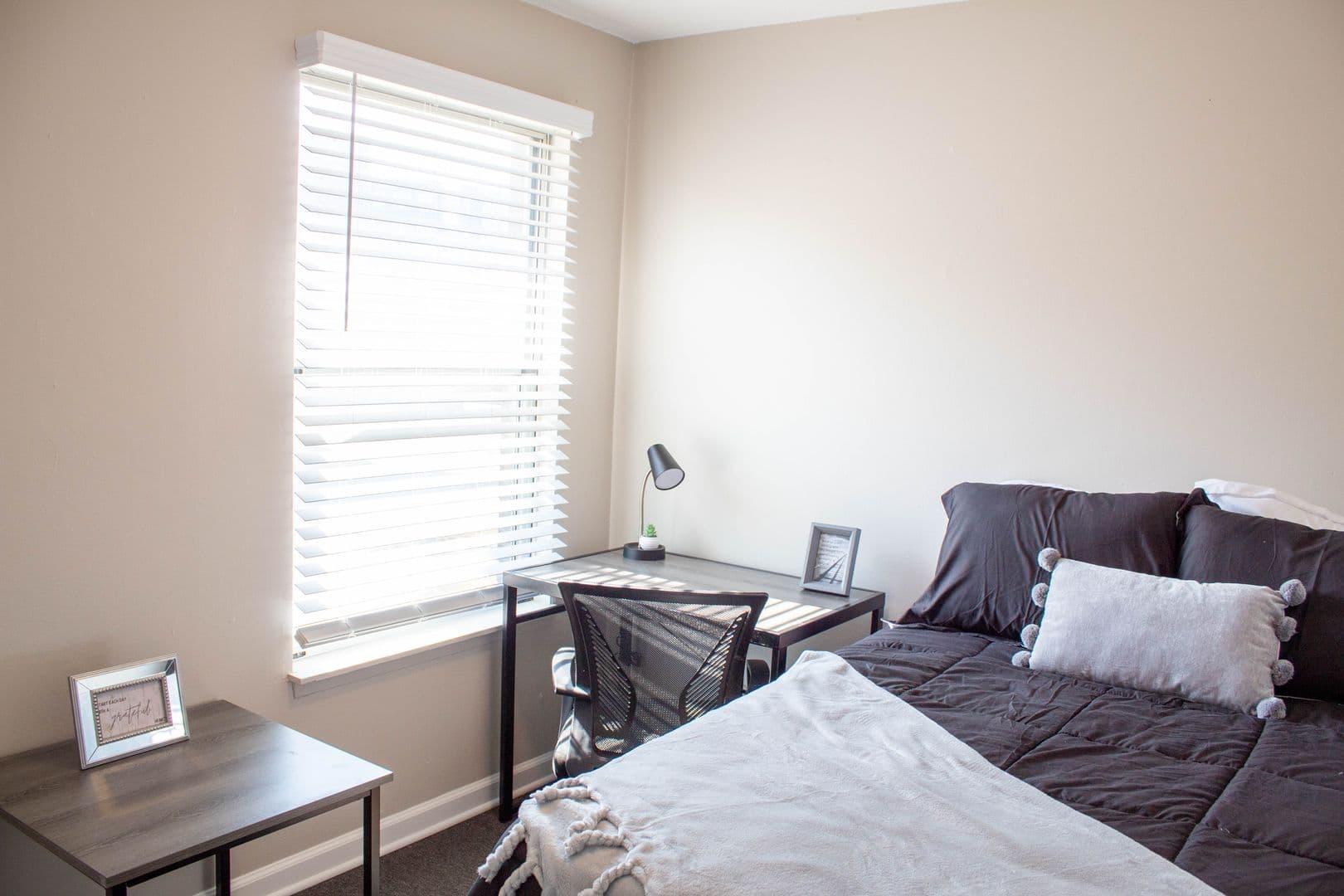 Champaign Apartment: 48 E John