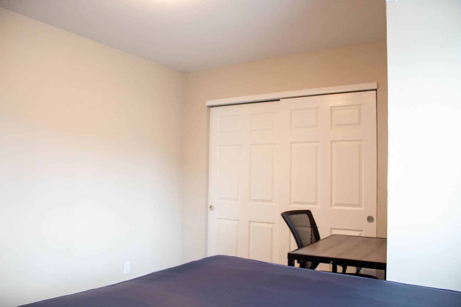 Champaign Apartment: 202 E Chalmers St