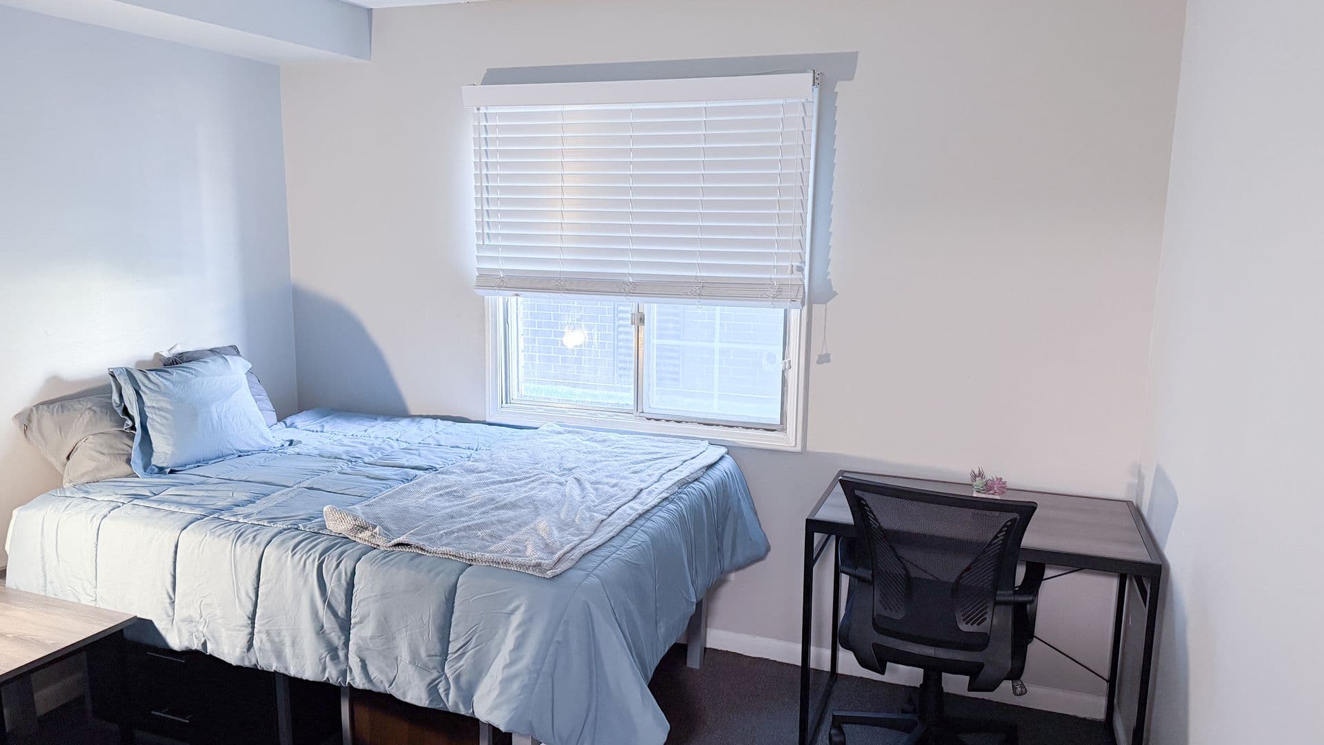 Champaign Apartment: 107 E Healey Street