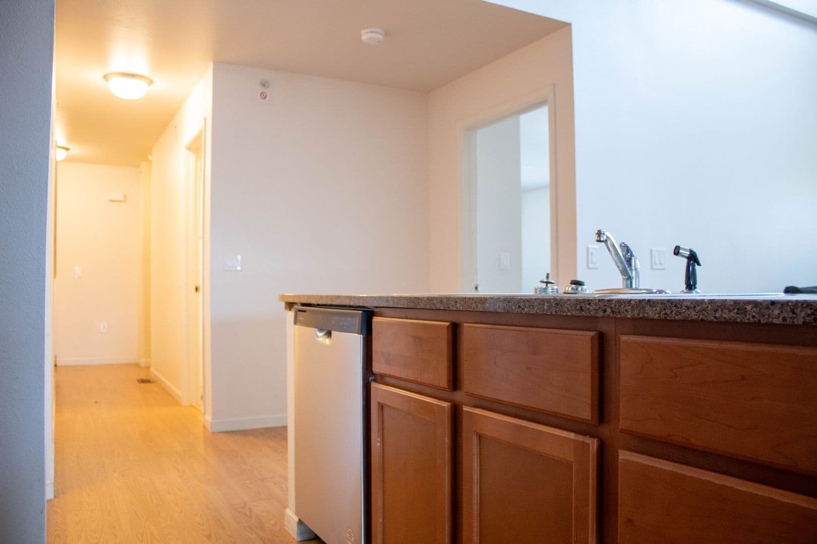 Champaign Apartment: 606 E Stoughton