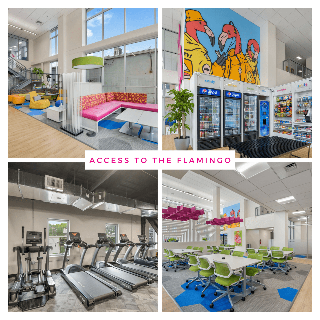 Urbana Apartment: 104 N Lincoln Ave