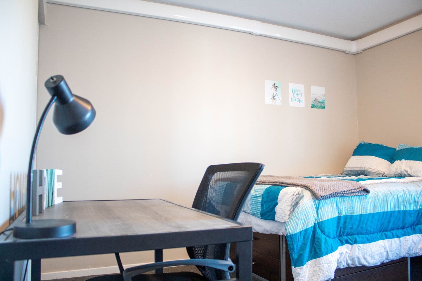 Champaign Apartment: 107 E Springfield Avenue