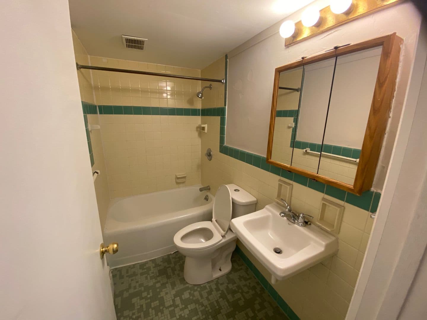 Champaign Apartment: 203 S Wright Street