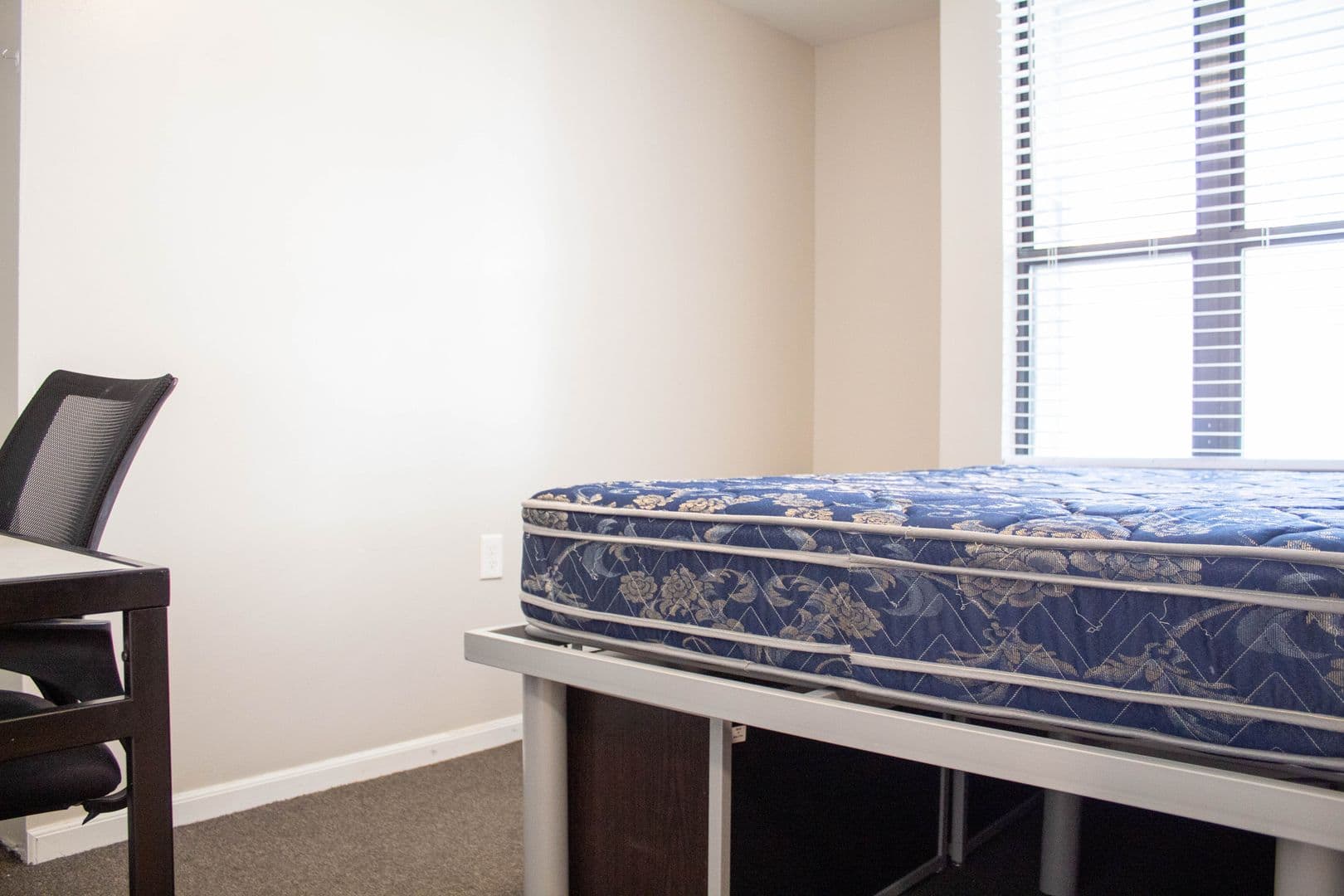 Champaign Apartment: 806 S Third