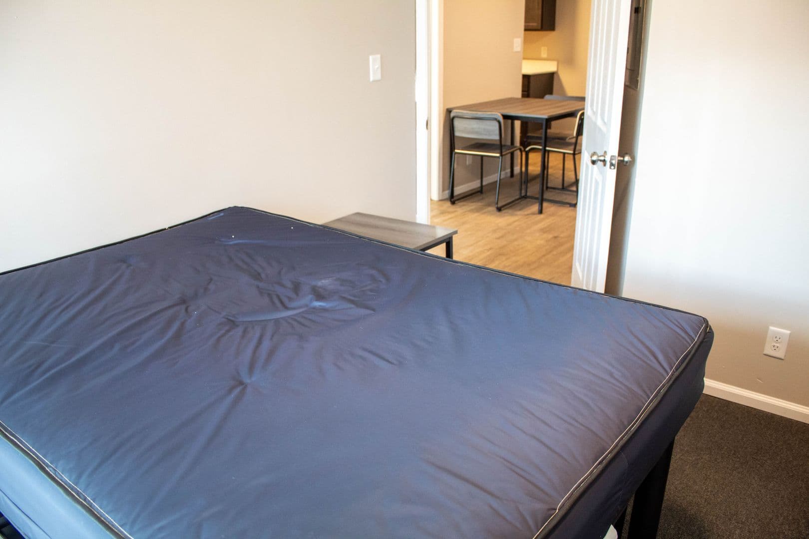 Champaign Apartment: 107 E Springfield Avenue