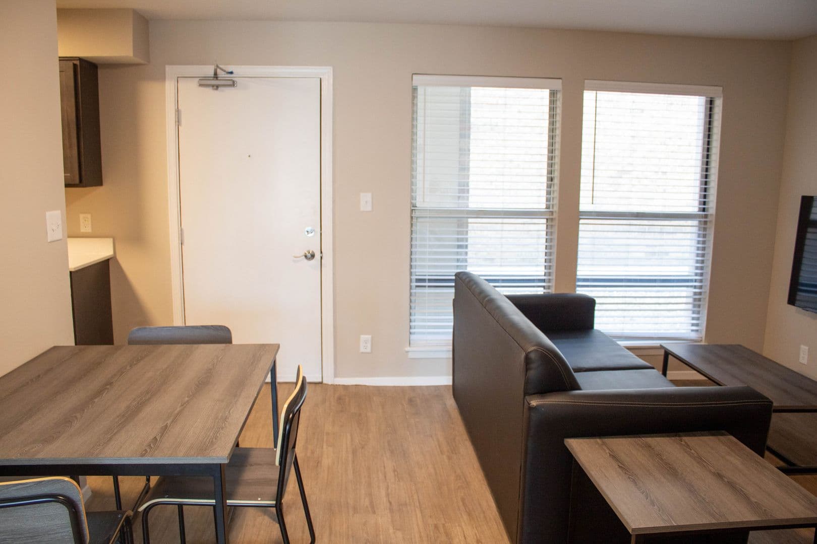 Champaign Apartment: 107 E Springfield Avenue