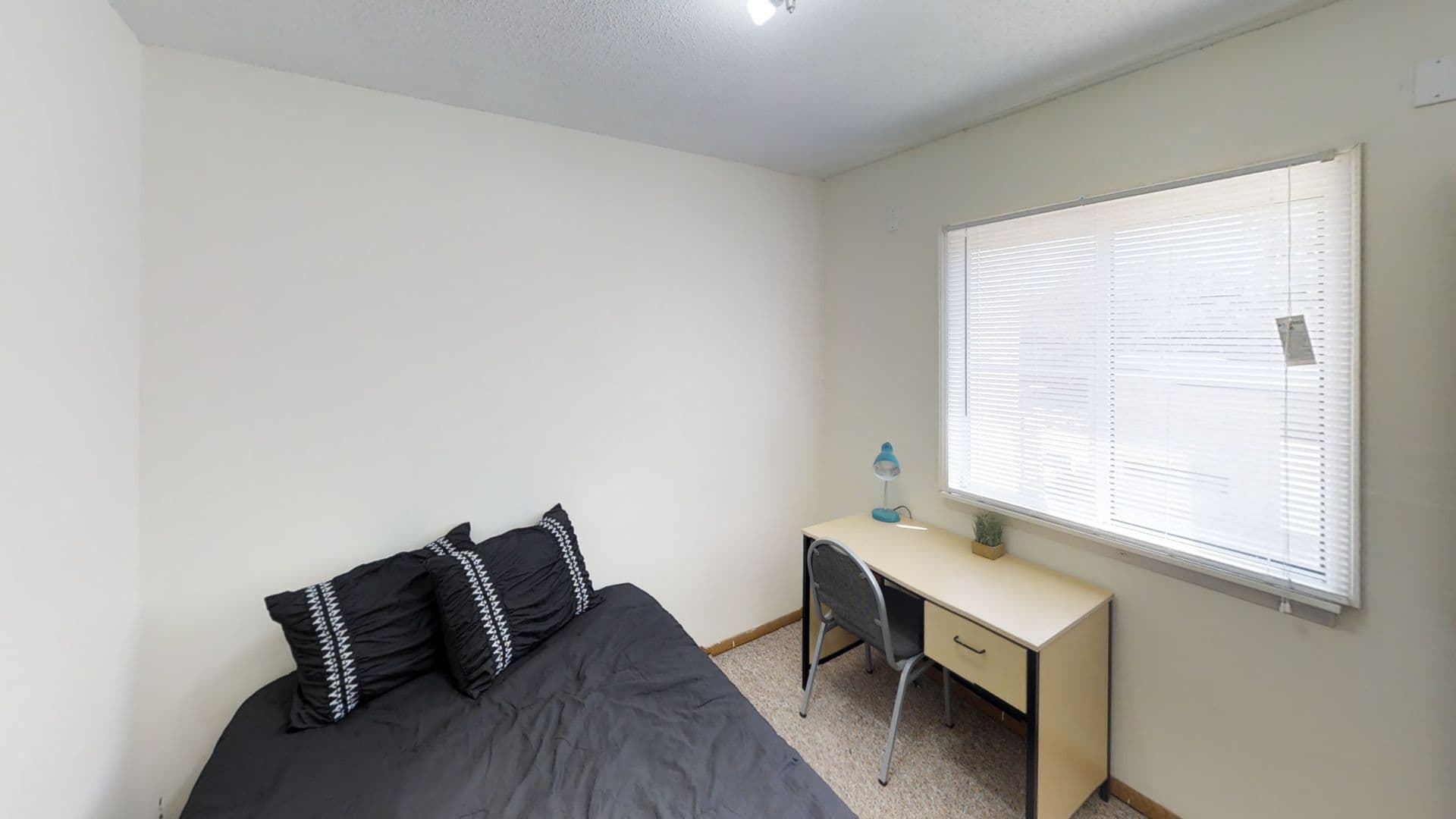 Urbana Apartment: 905 W Oregon
