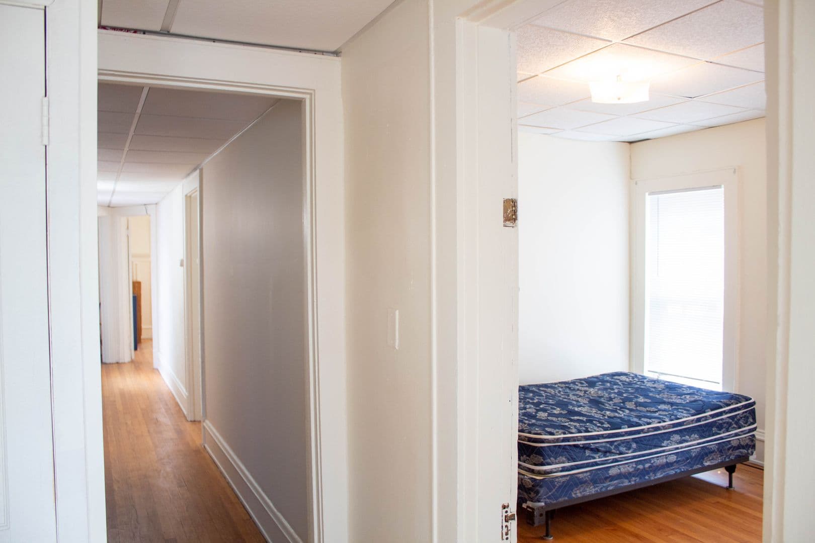 Champaign Apartment: 111 E Springfield Avenue