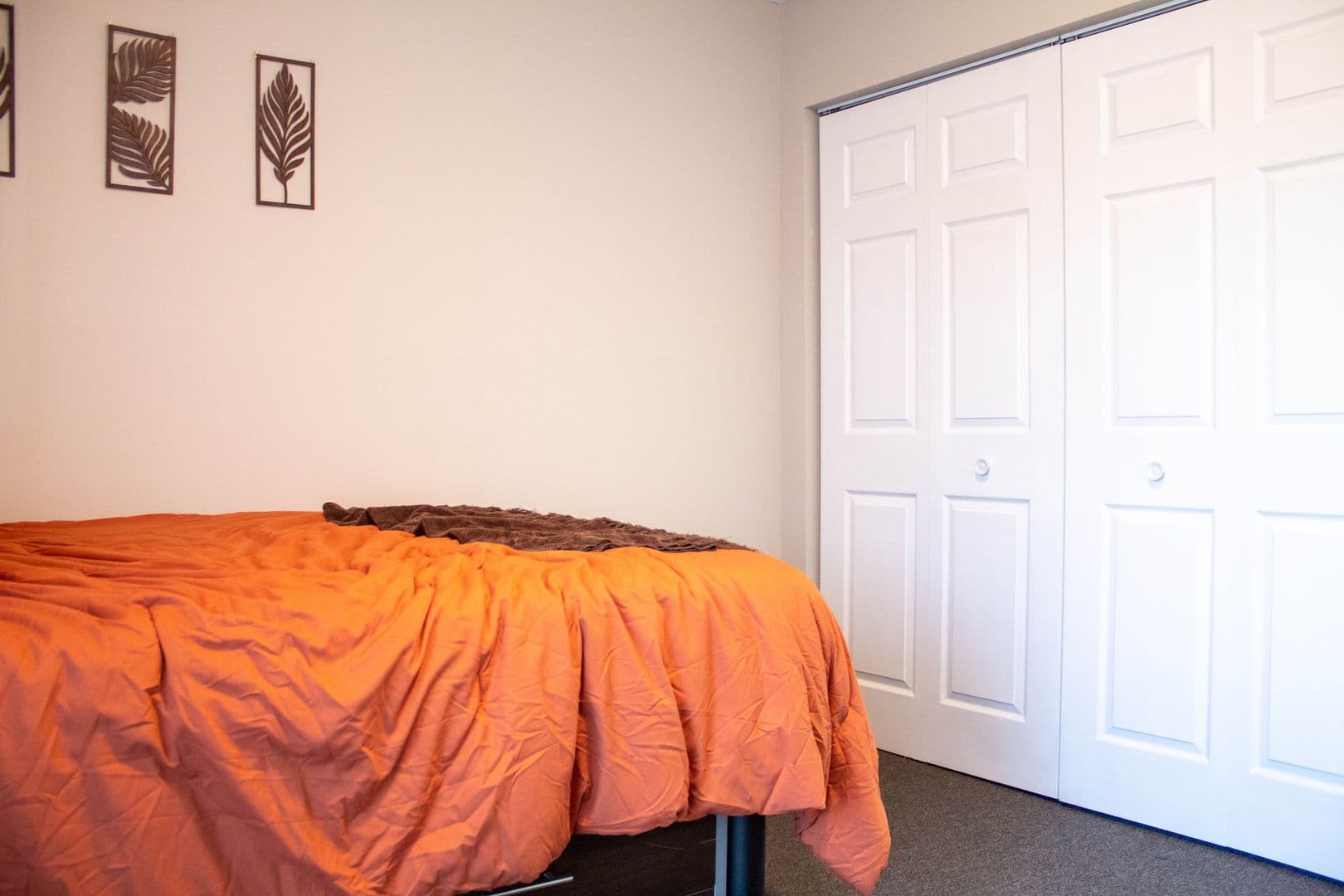 Champaign Apartment: 107 E Springfield Avenue