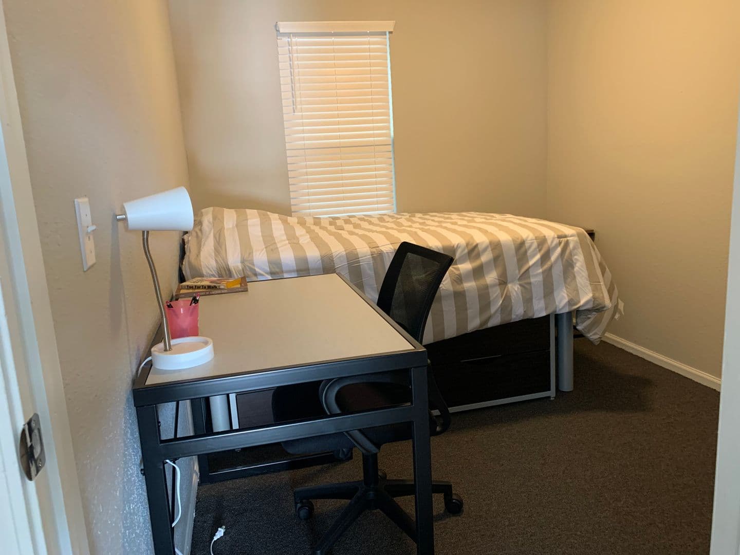 Champaign Apartment: 408 E Healey St