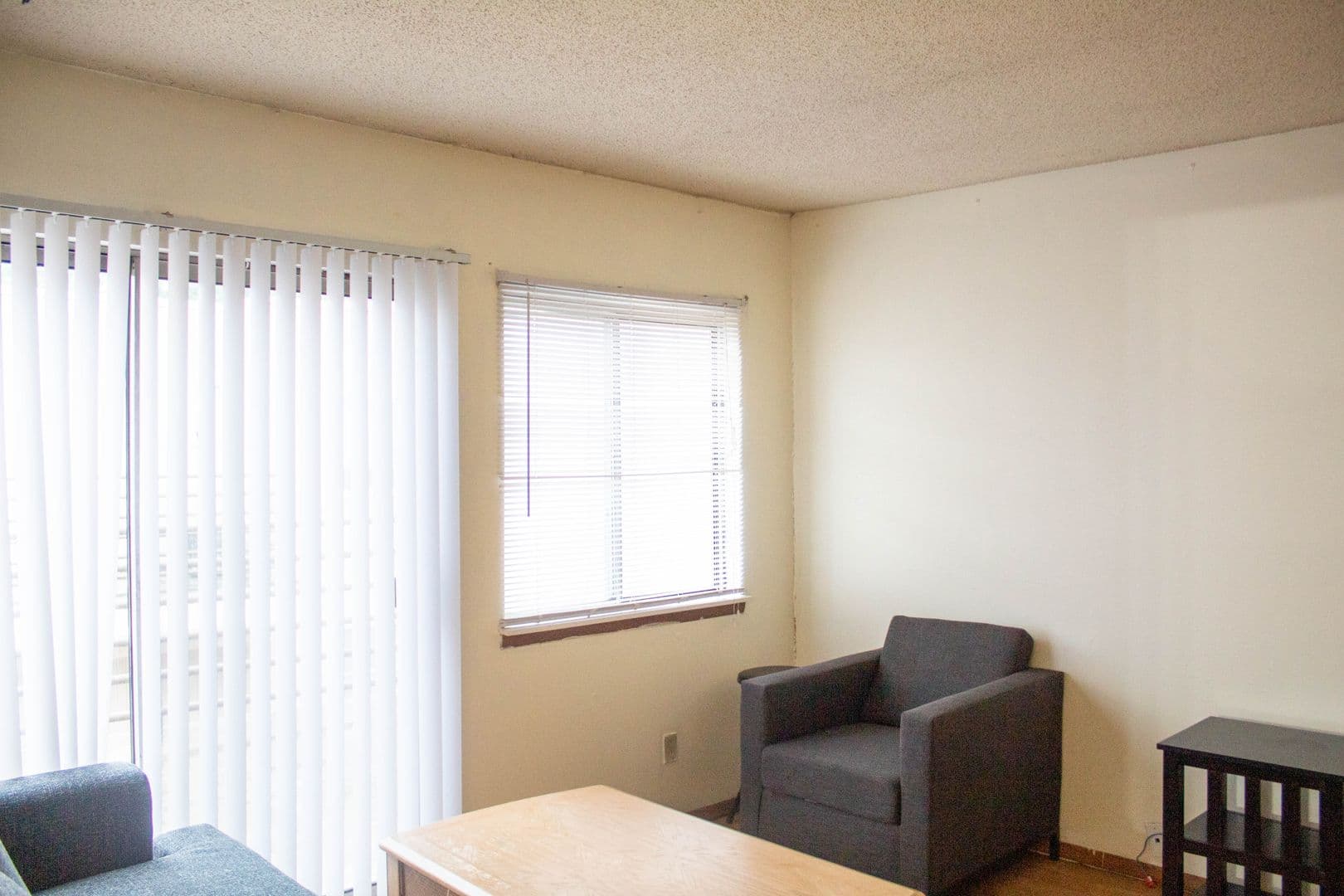 Urbana Apartment: 907 W Oregon