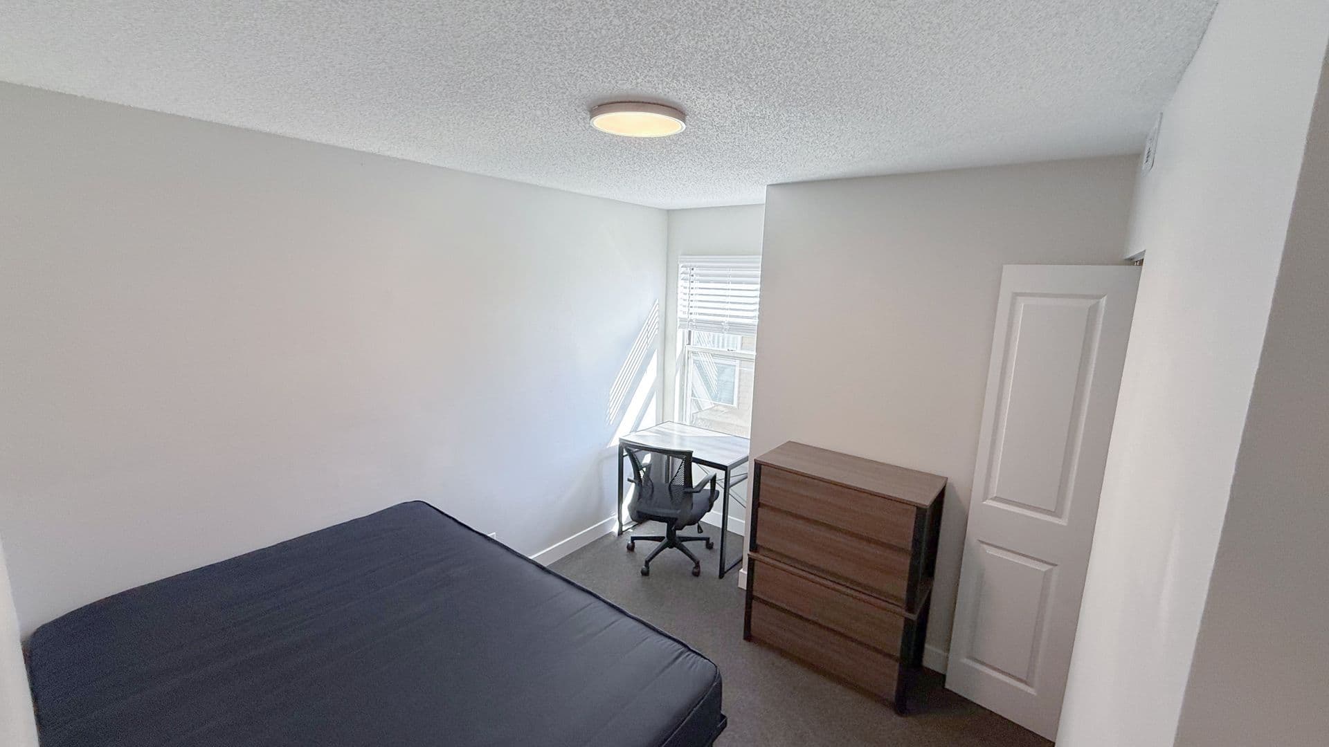 Urbana Apartment: 813 W Springfield