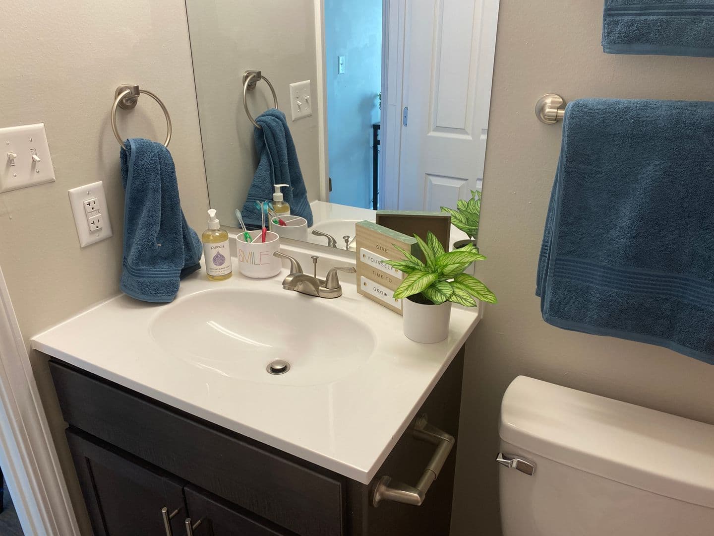 Champaign Apartment: 107 E Springfield Avenue