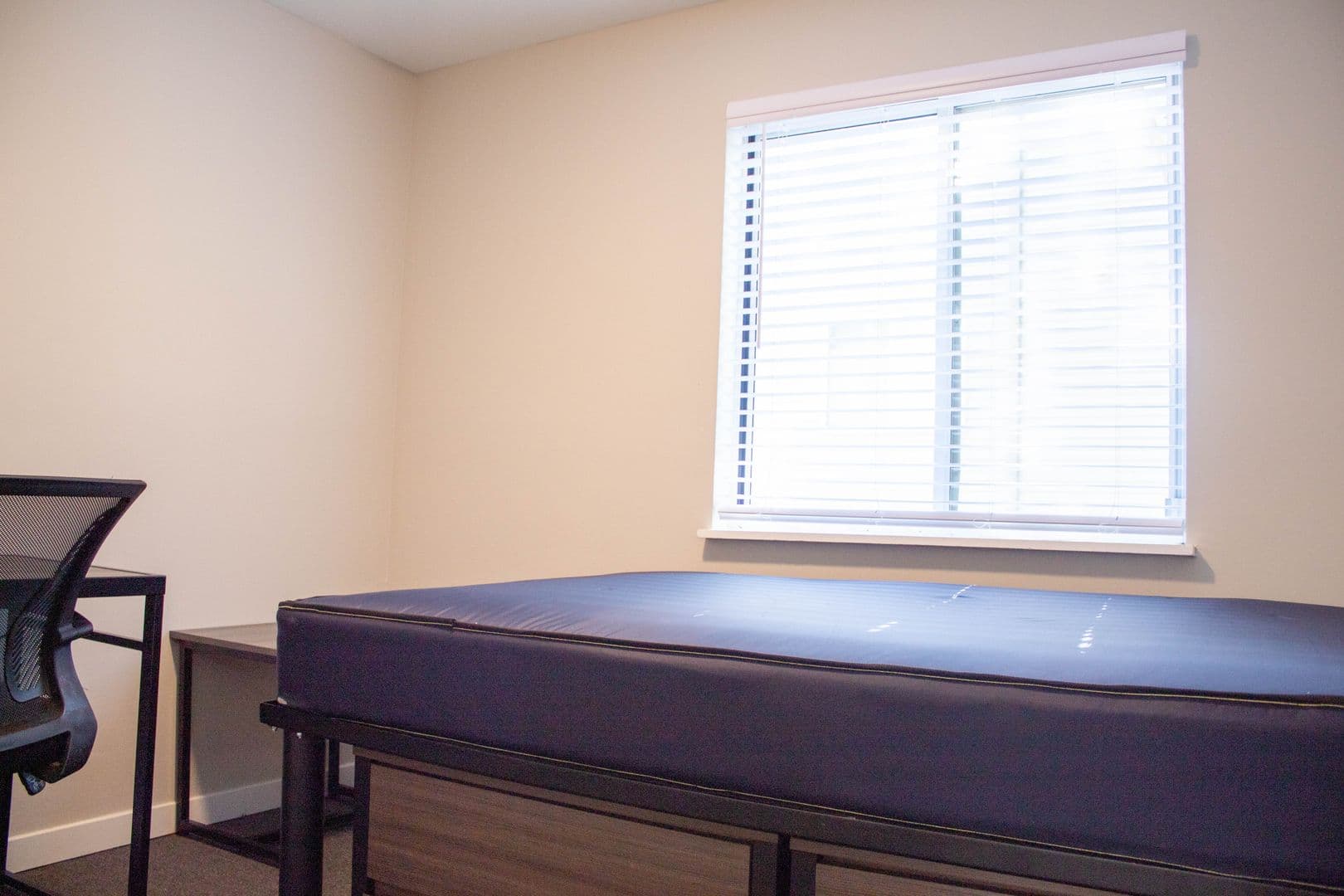Urbana Apartment: 804 W Illinois Street
