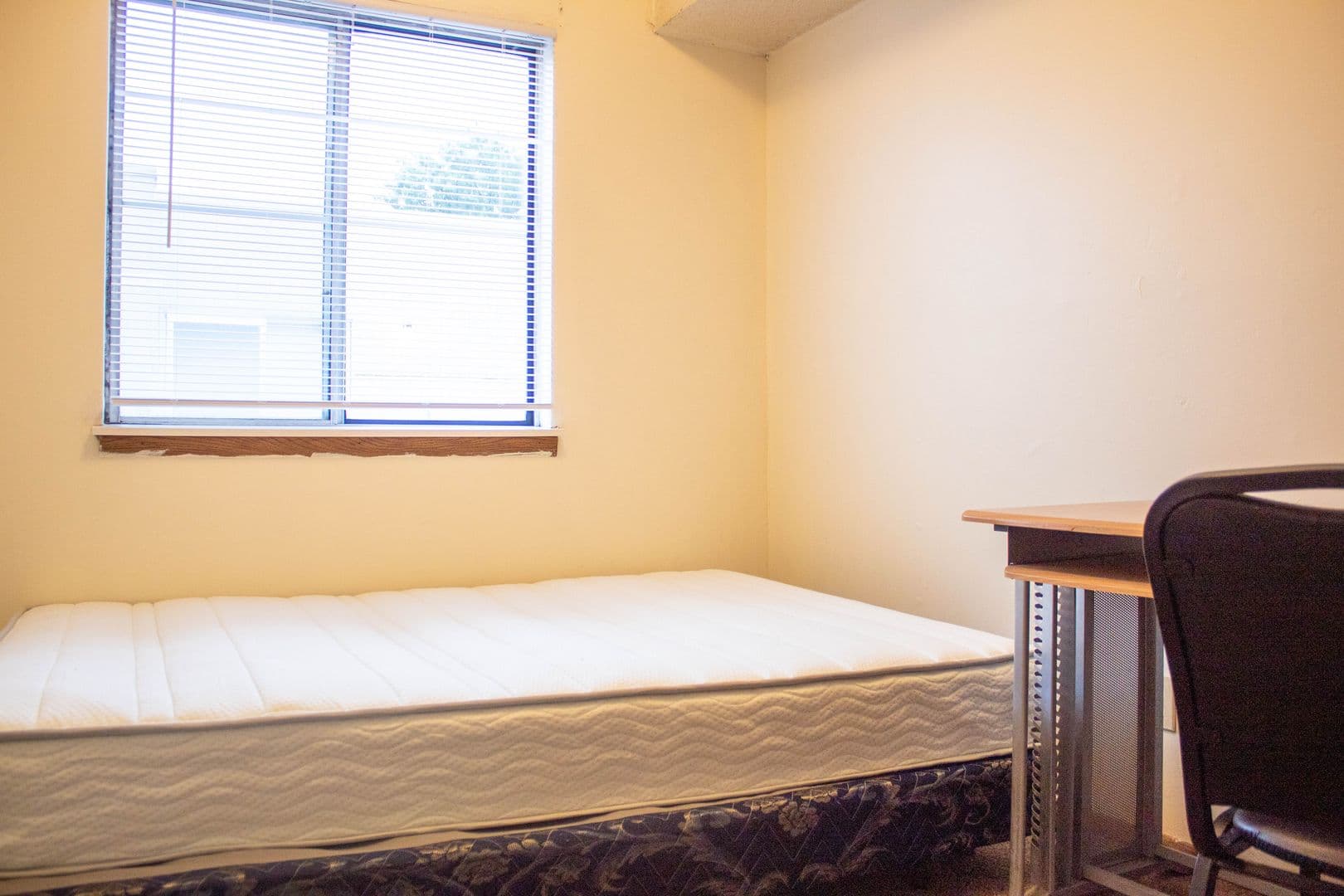 Urbana Apartment: 907 W Oregon