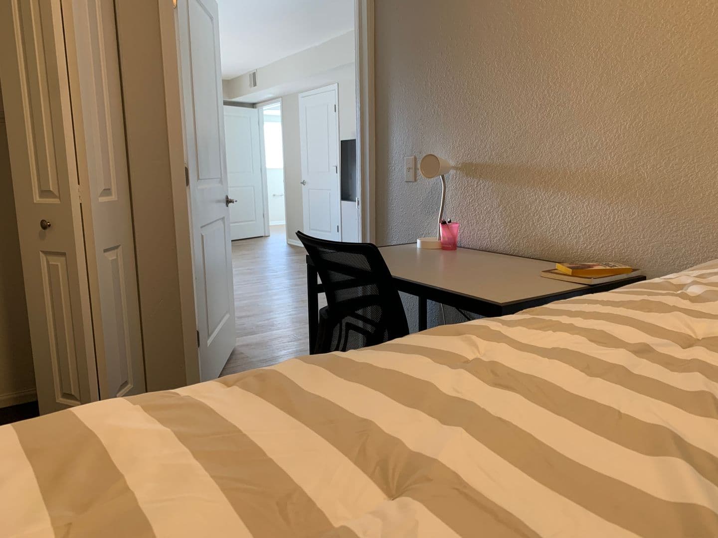 Champaign Apartment: 408 E Healey St