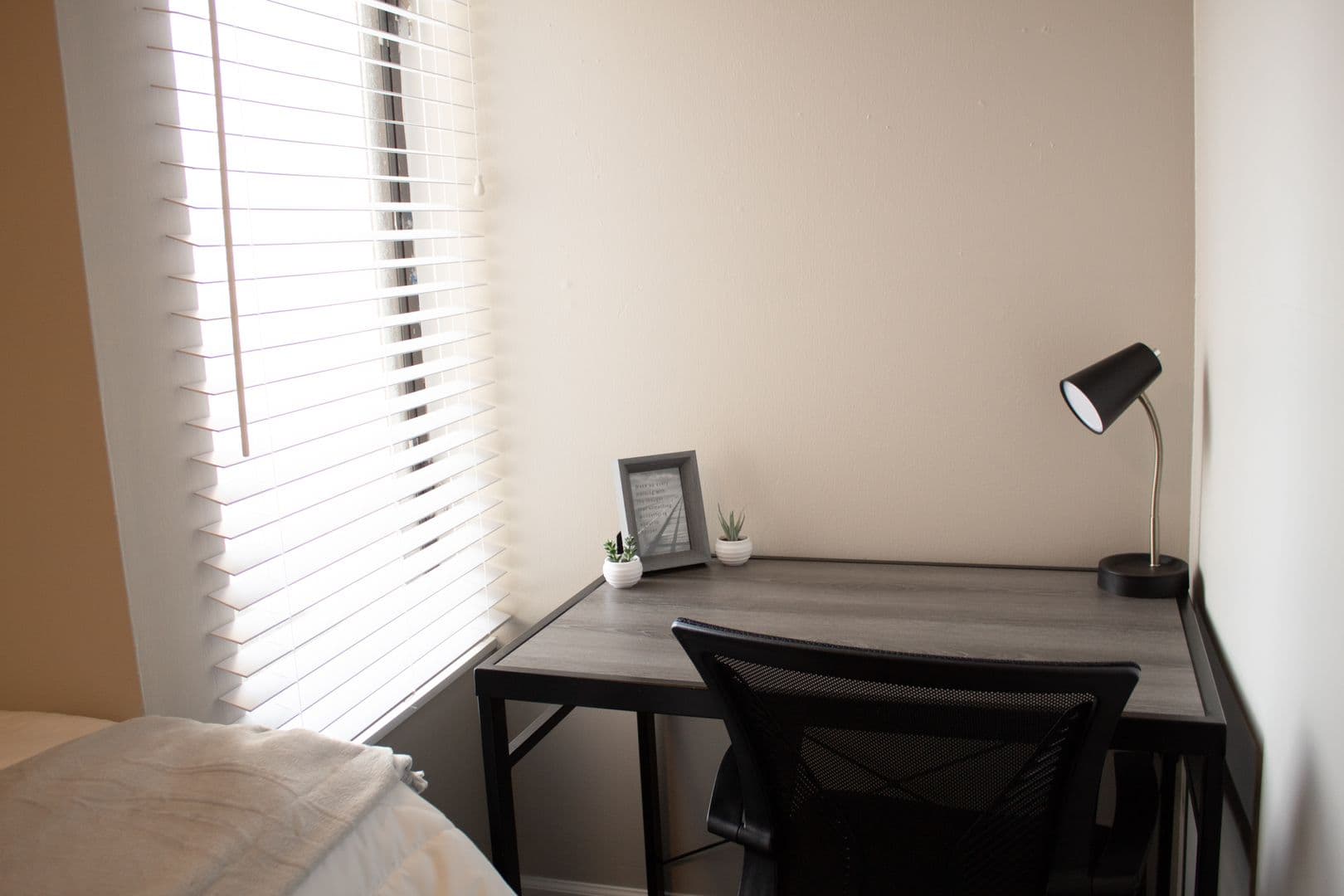 Champaign Apartment: 903 S Locust Street