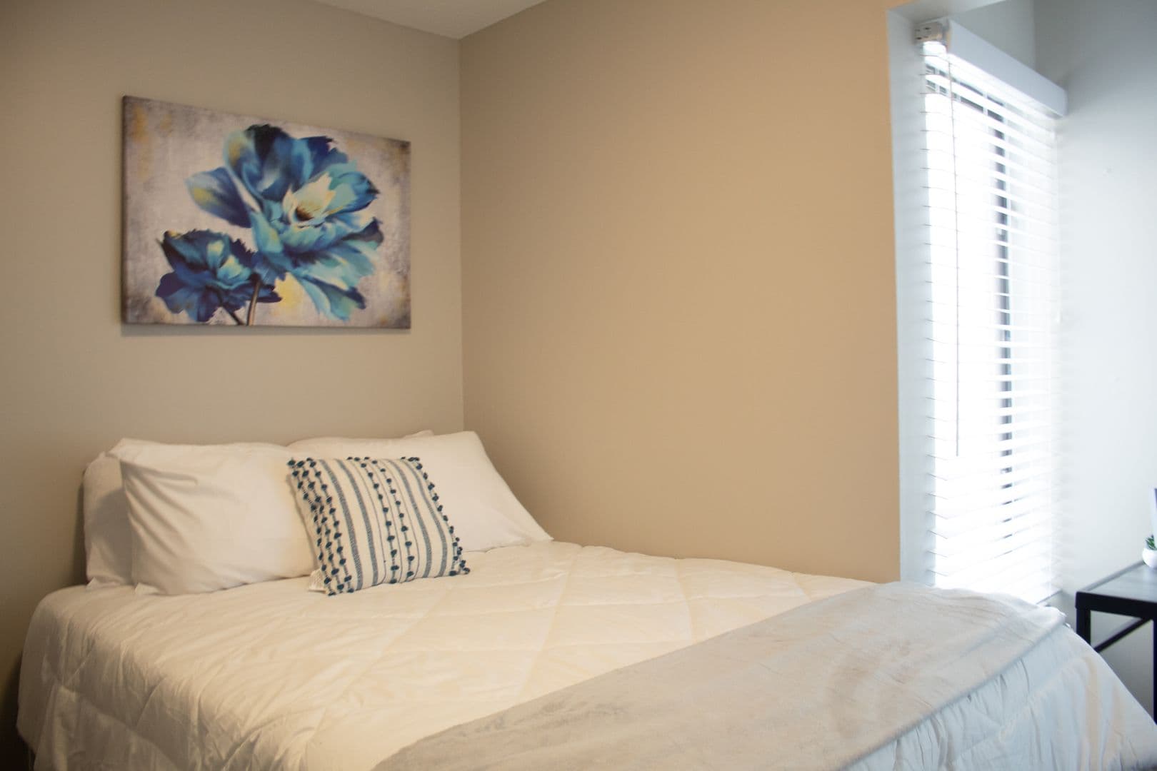 Champaign Apartment: 909 S Locust Street