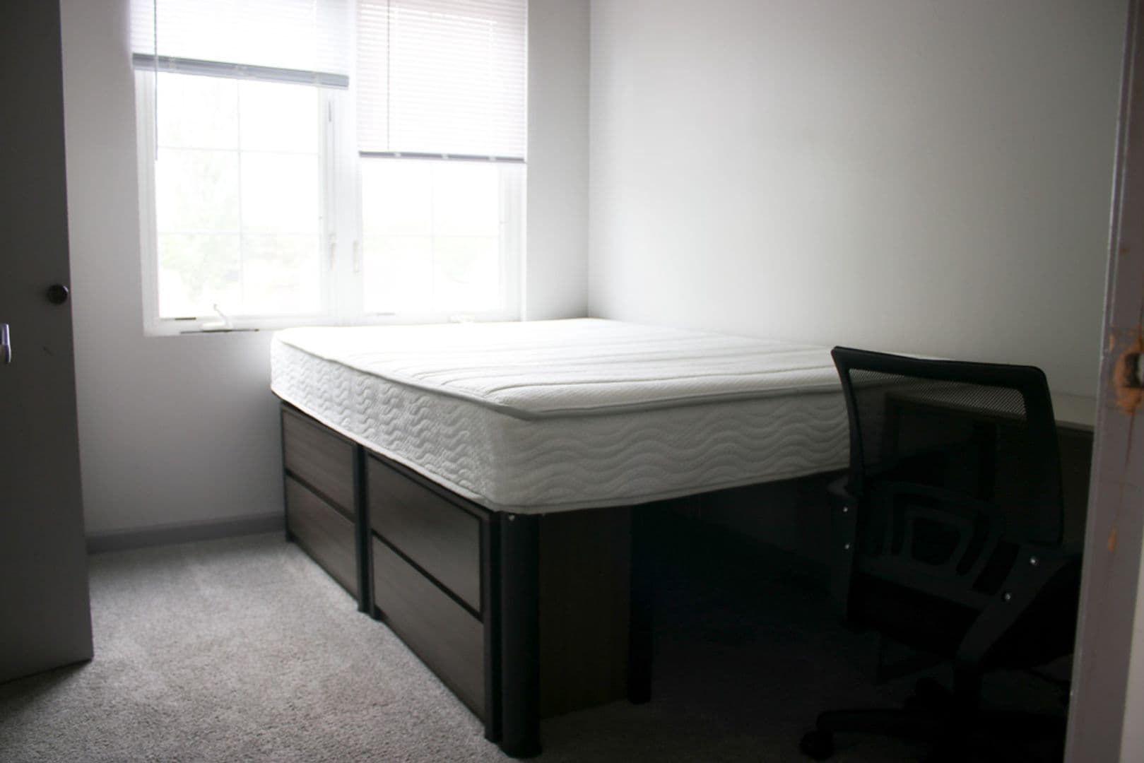 Urbana Apartment: 401 W Springfield