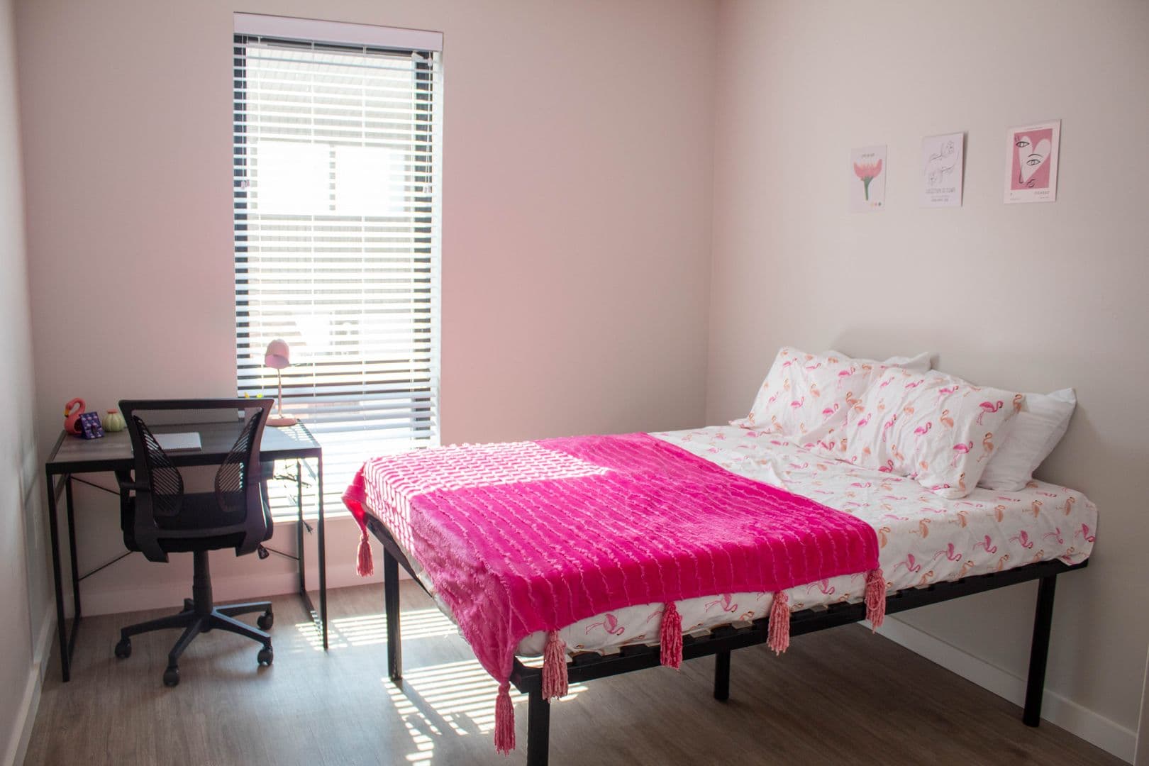 Urbana Apartment: 1009 W Stoughton