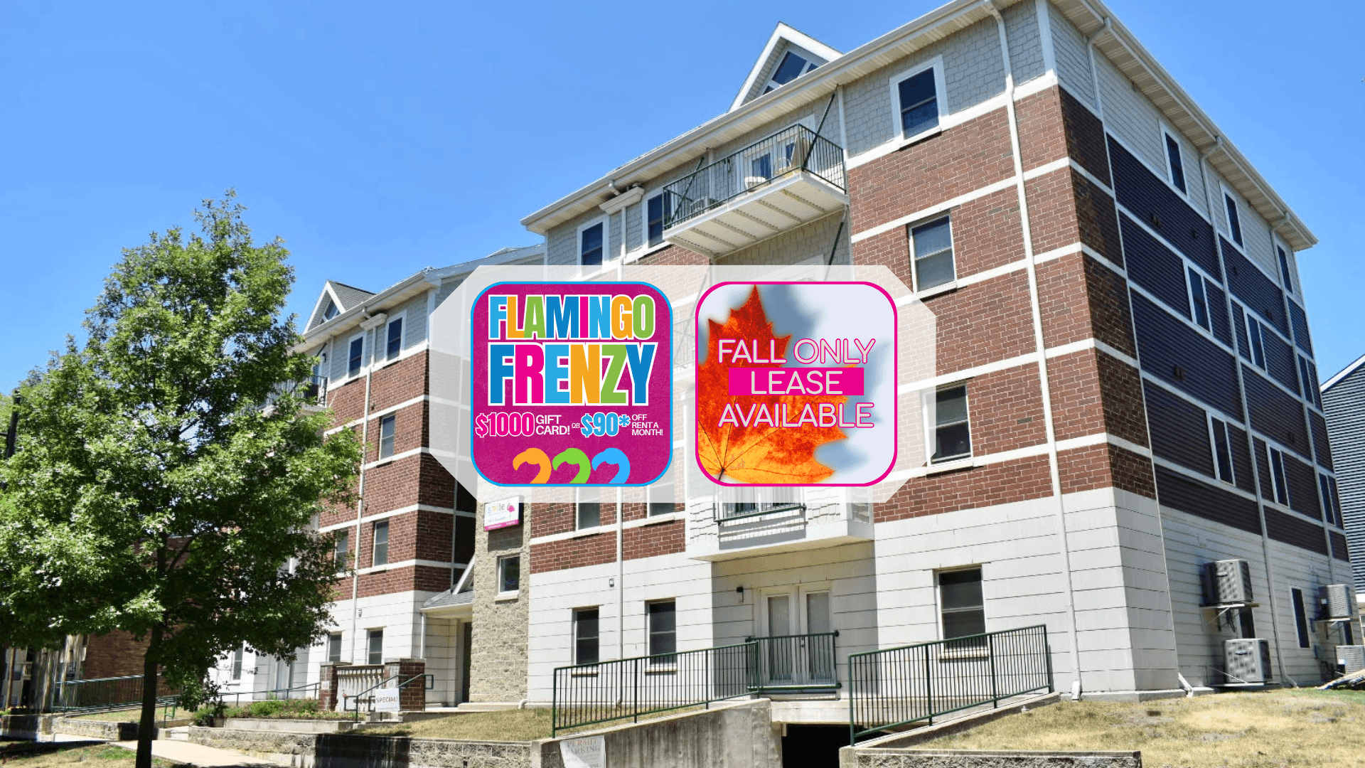 Champaign Apartment: 606 E Stoughton