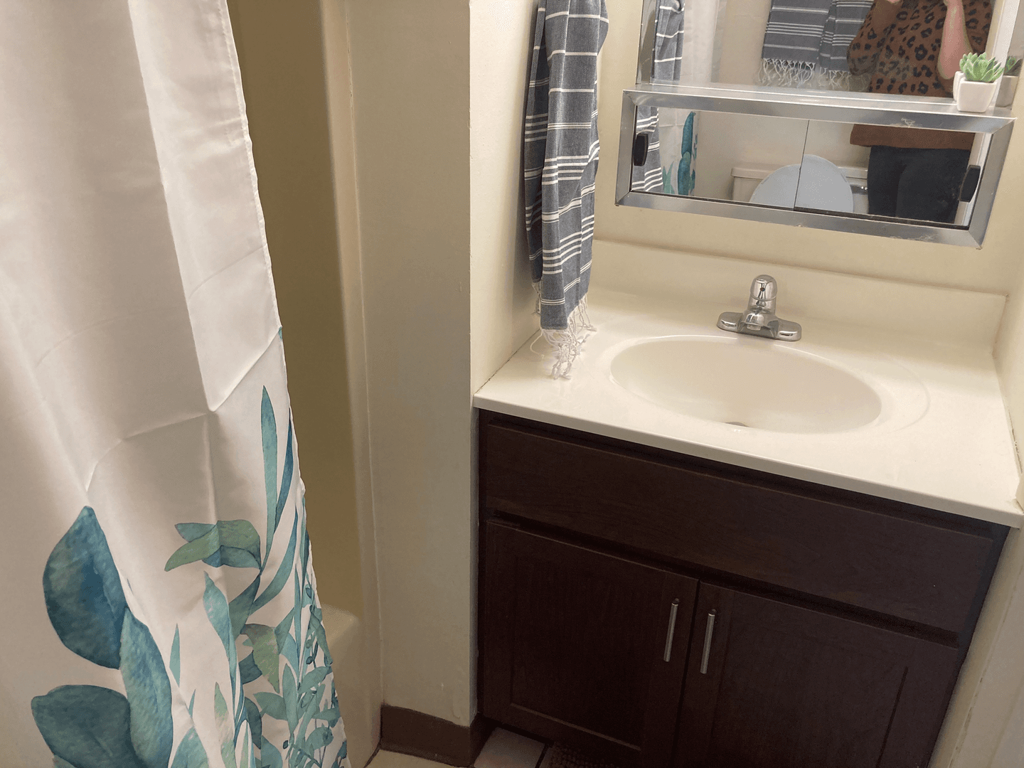 Urbana Apartment: 805 W Green Street