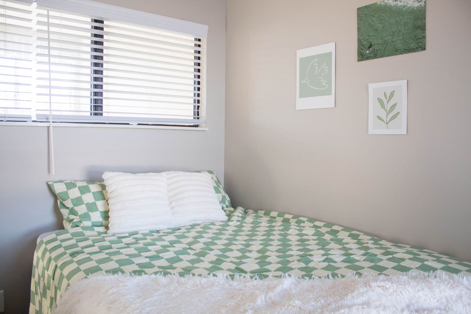 Urbana Apartment: 1010 W Stoughton