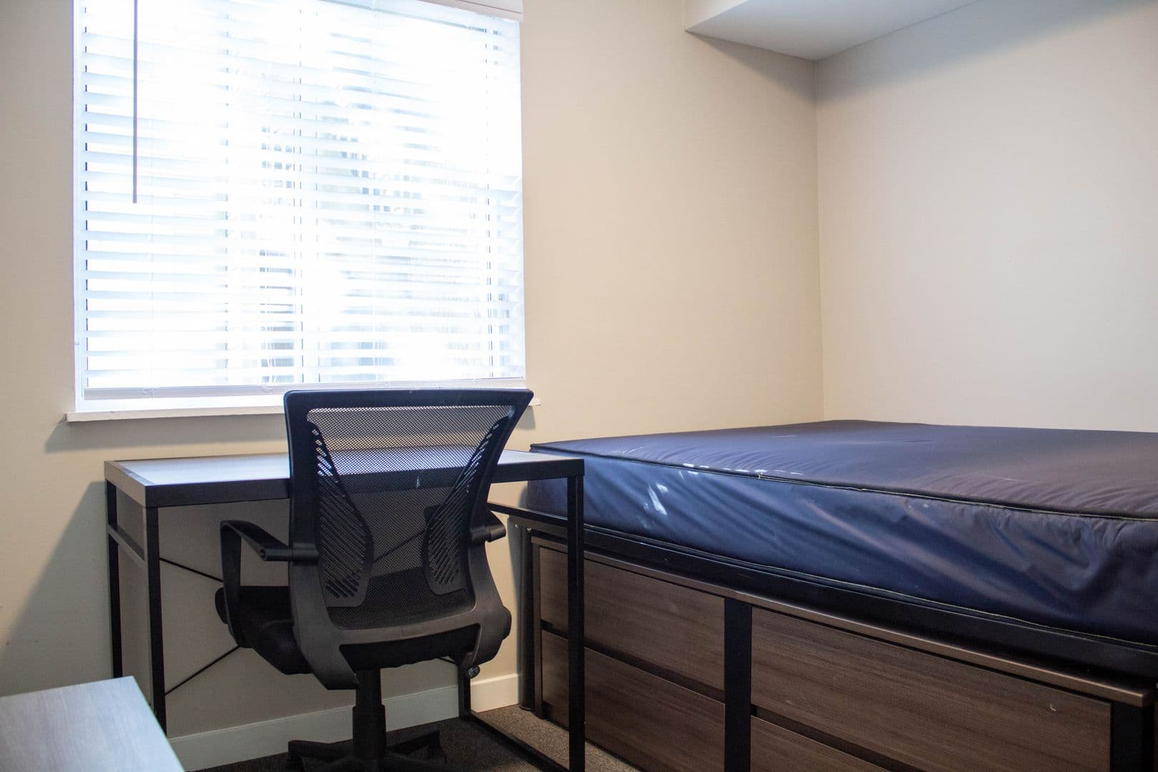 Urbana Apartment: 804 W Illinois Street