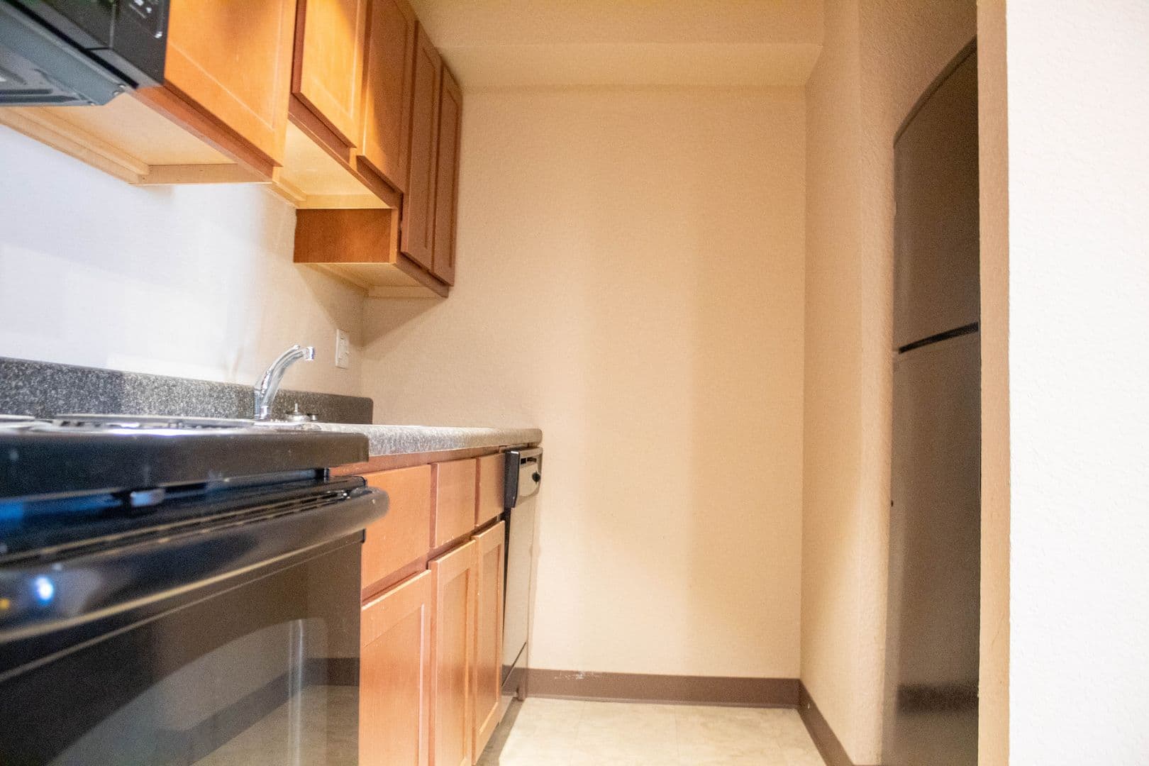 Champaign Apartment: 207 S Fifth