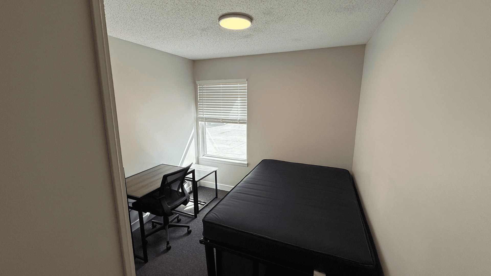 Urbana Apartment: 809 W Springfield
