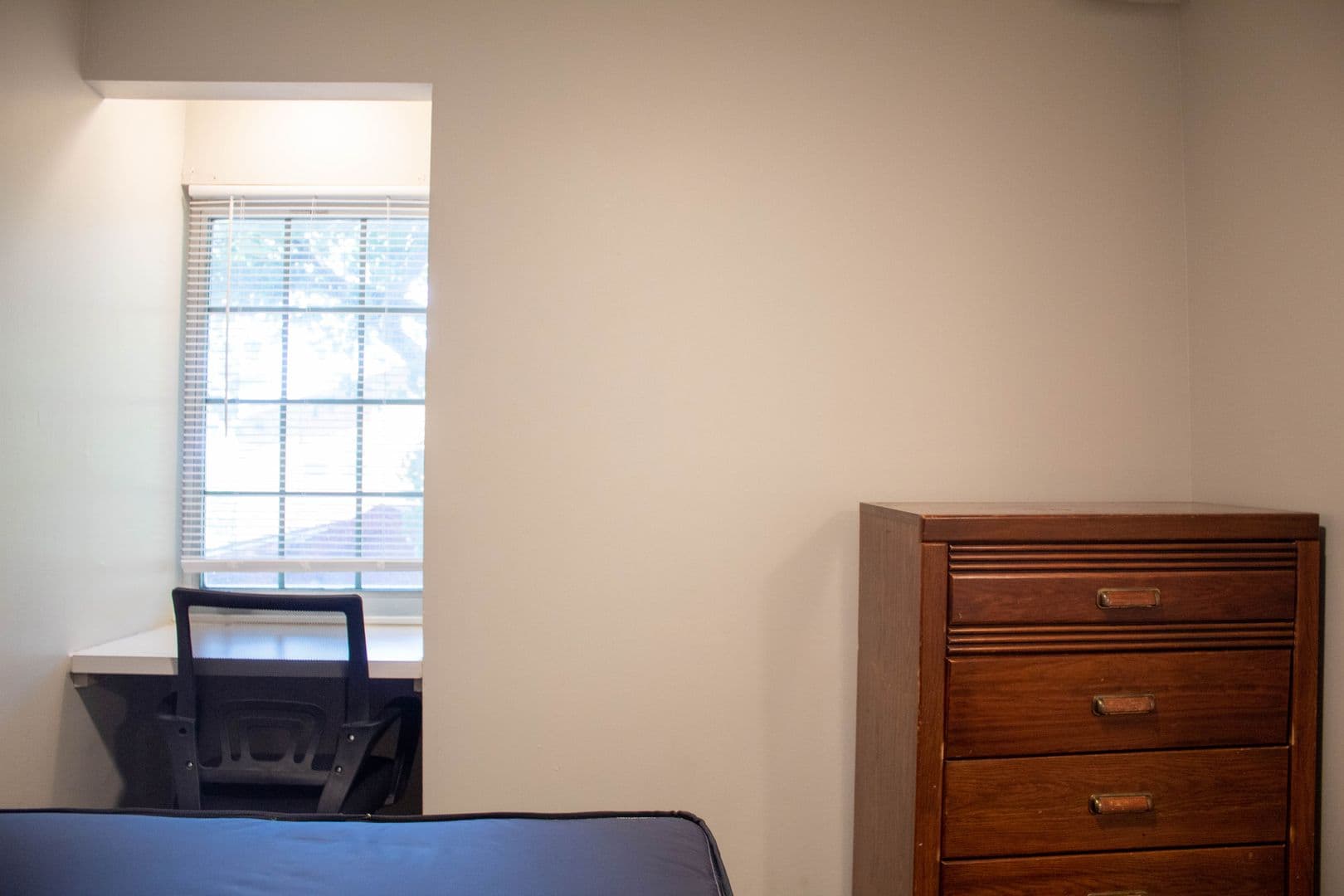 Urbana Apartment: 812 W Nevada Street