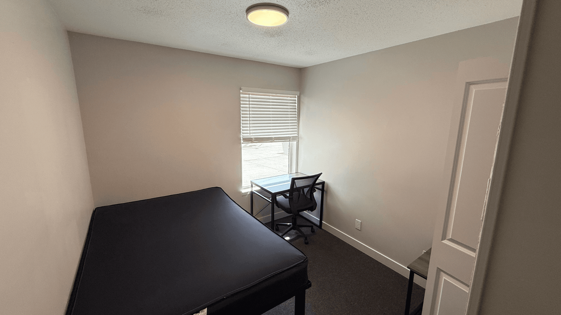 Urbana Apartment: 809 W Springfield