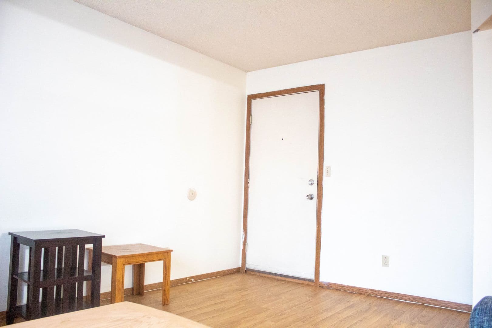 Urbana Apartment: 907 W Oregon