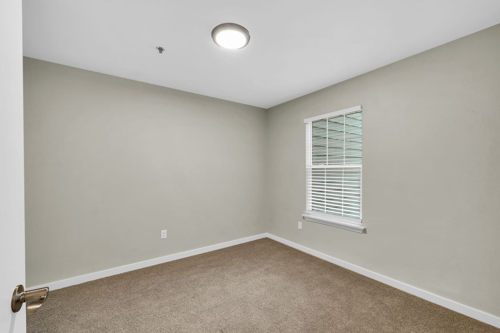 Savoy Apartment: 117 Sterling Ct