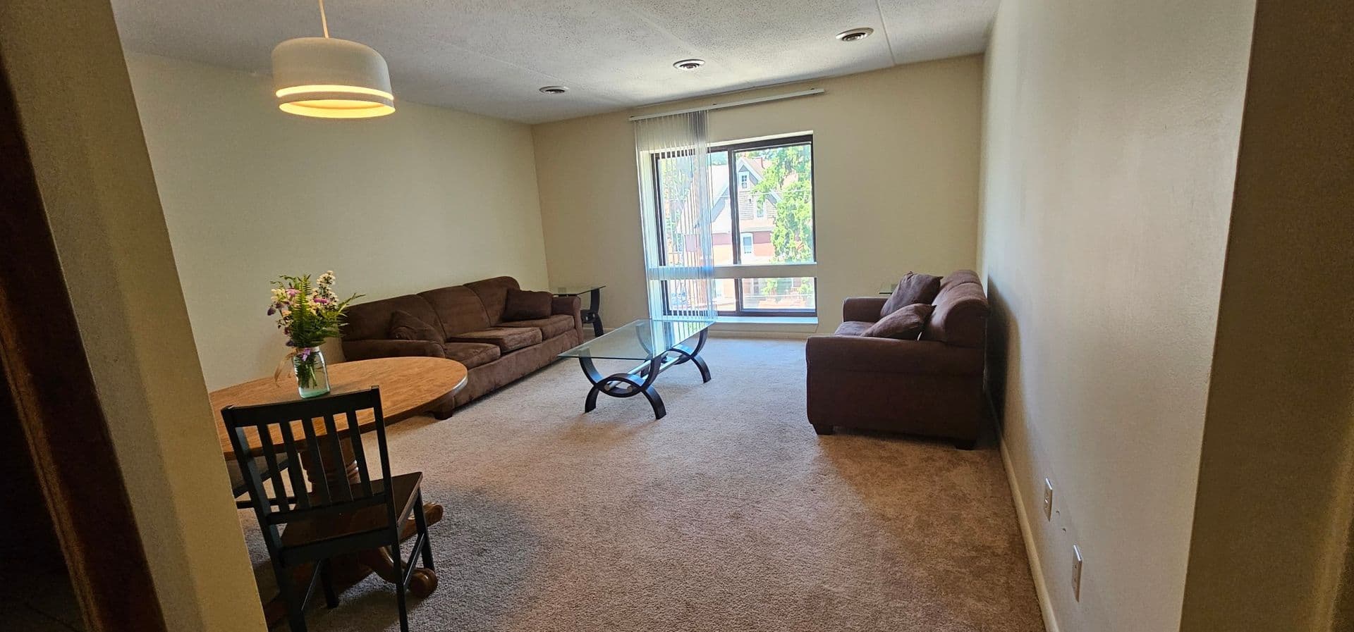 State College Apartment: 203 East Fairmount Ave