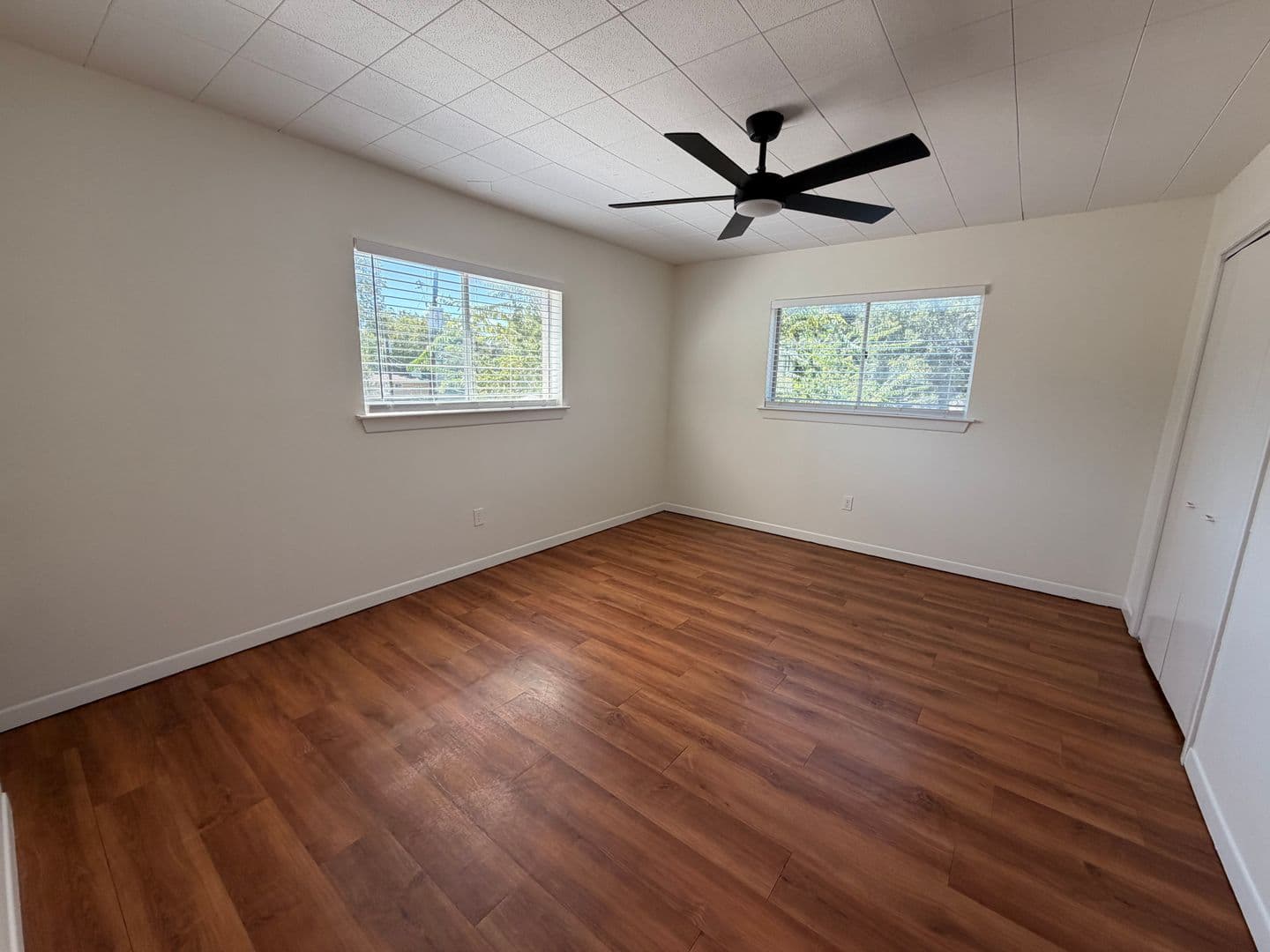 Austin Apartment: 3106 Duval Street
