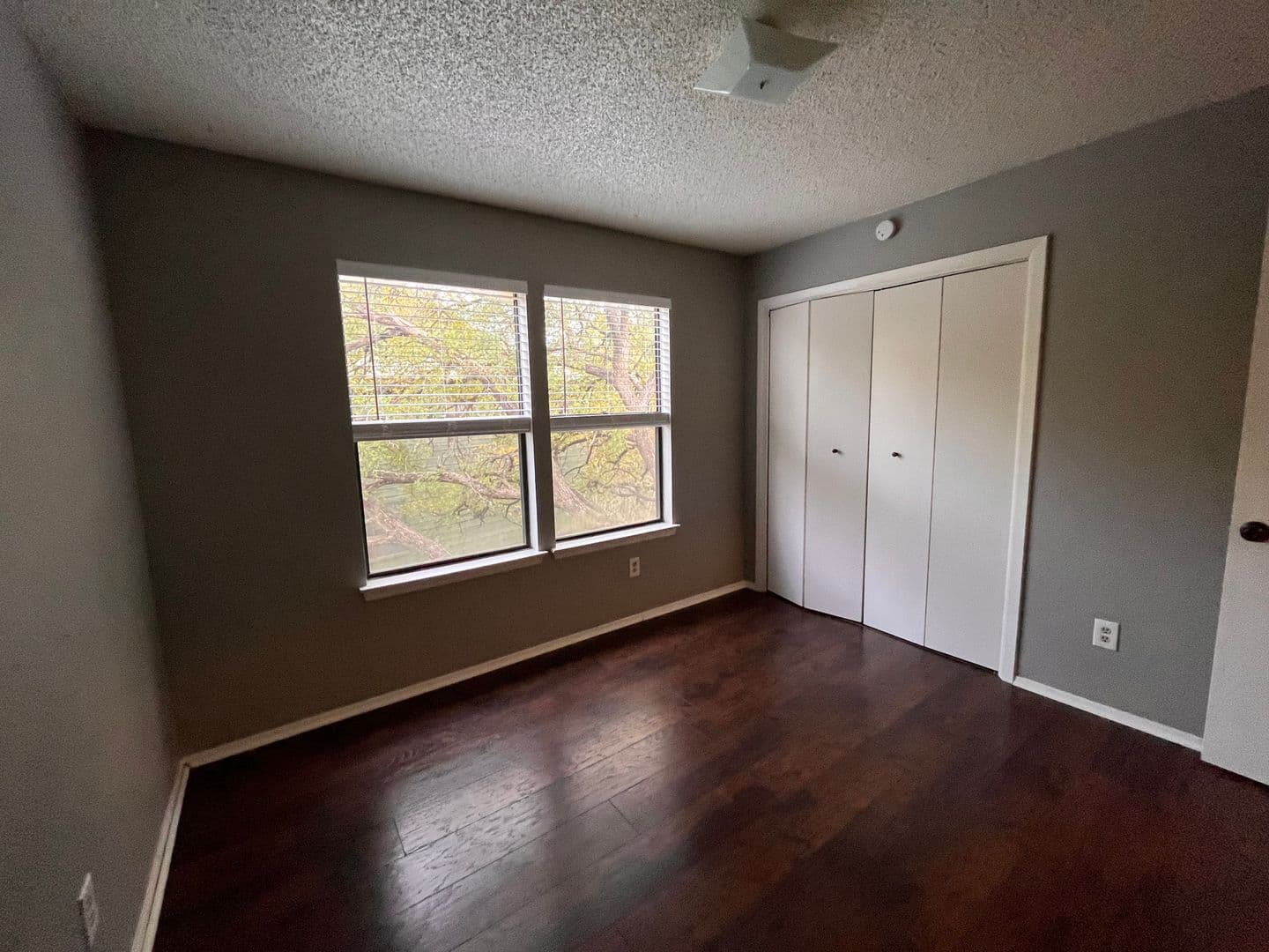 Austin Apartment: 5309-C Indio Dr