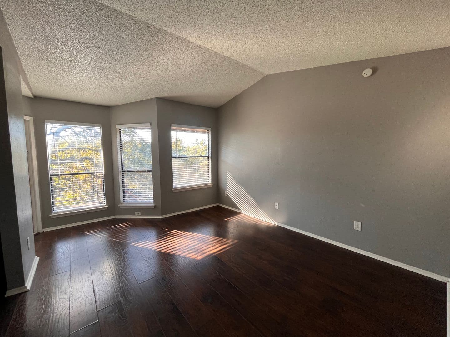Austin Apartment: 5309-C Indio Dr