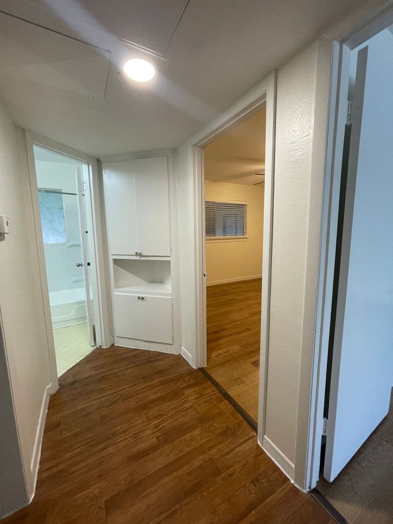 Austin Apartment: 3106 Duval Street