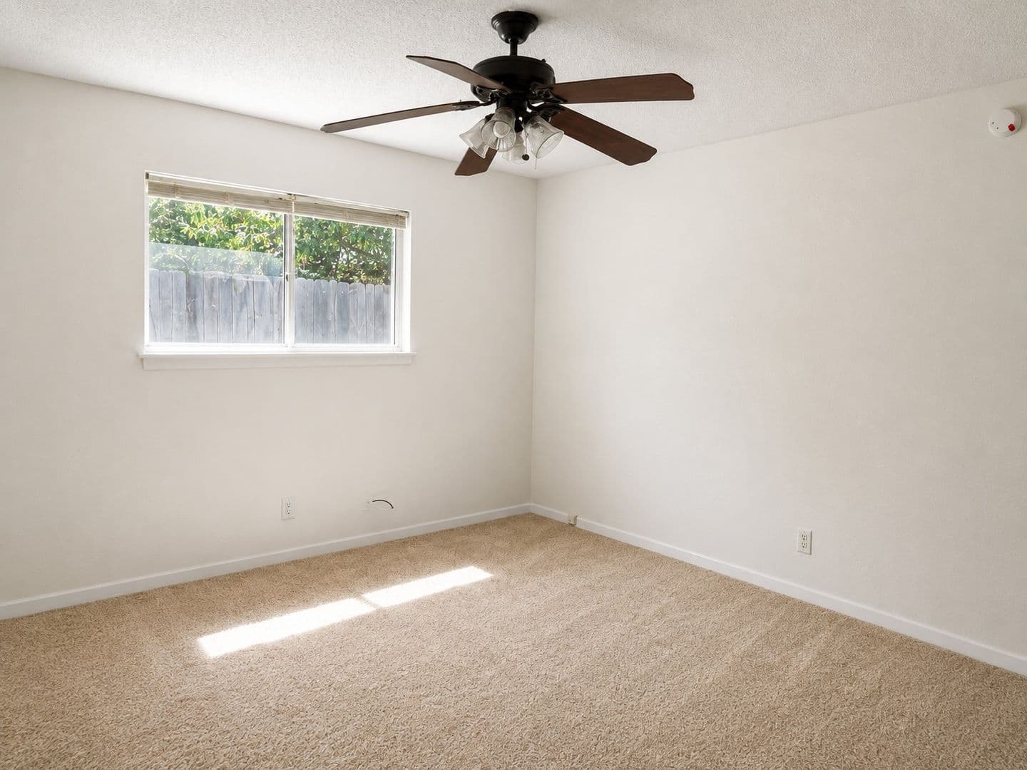Austin House: 3105 Whitis