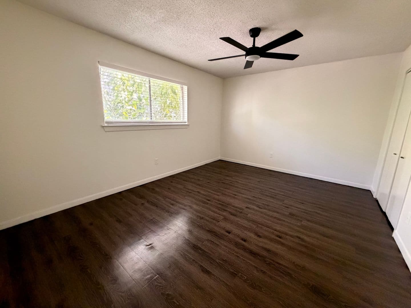 Austin Apartment: 3106 Duval Street