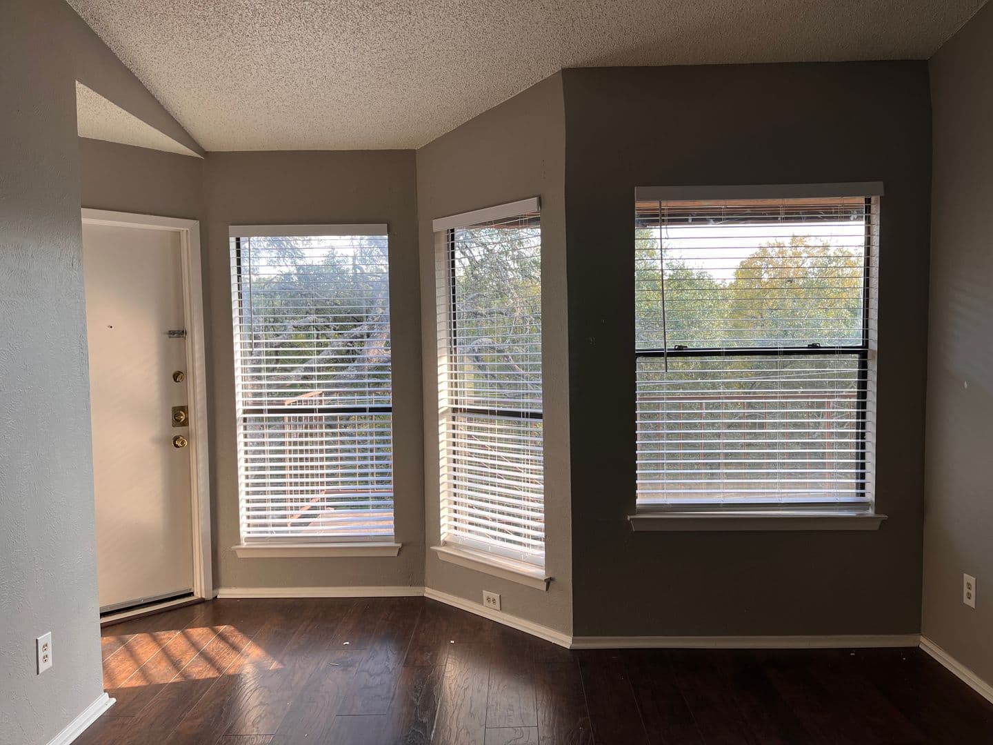 Austin Apartment: 5309-C Indio Dr